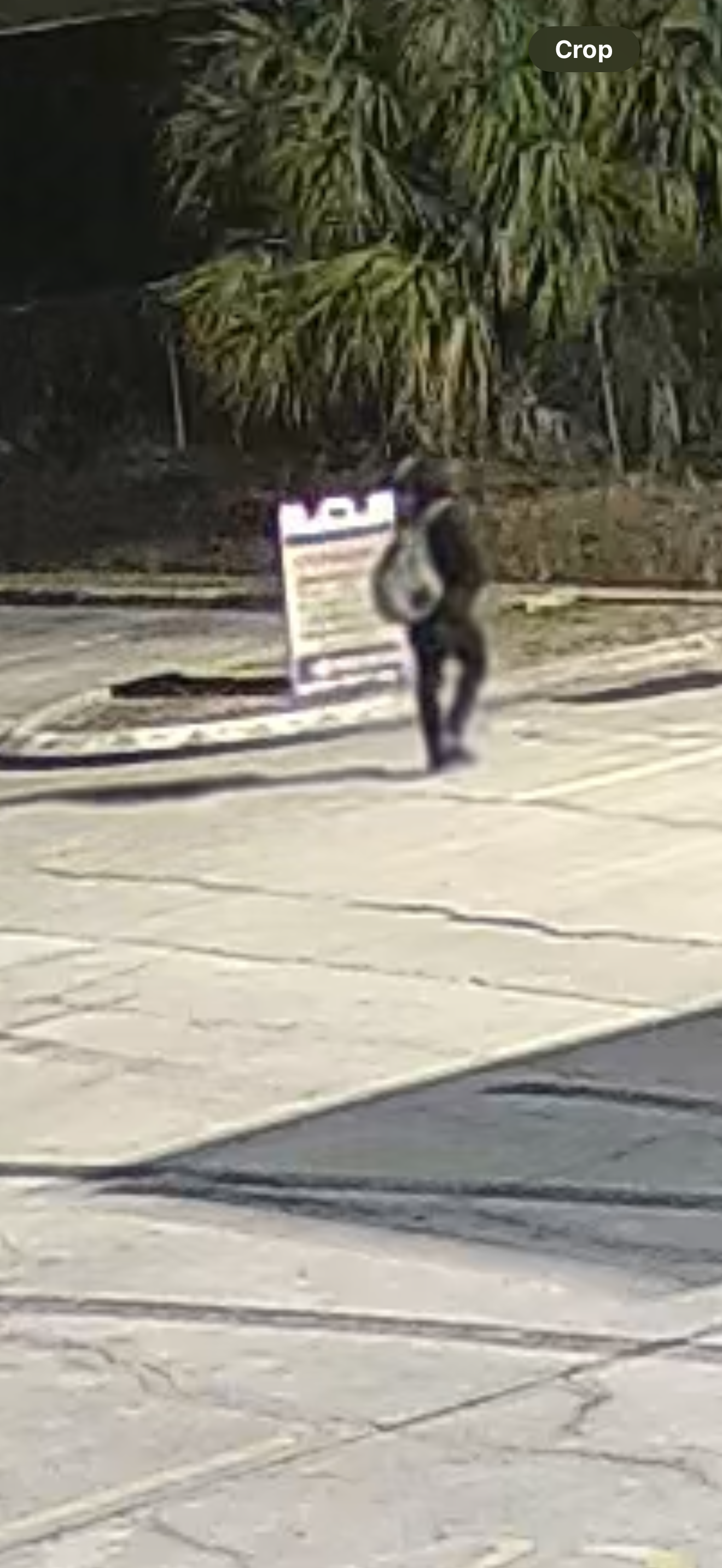 Support Eileen After Theft of Truck and Inventory campaign photo, 4 of 6