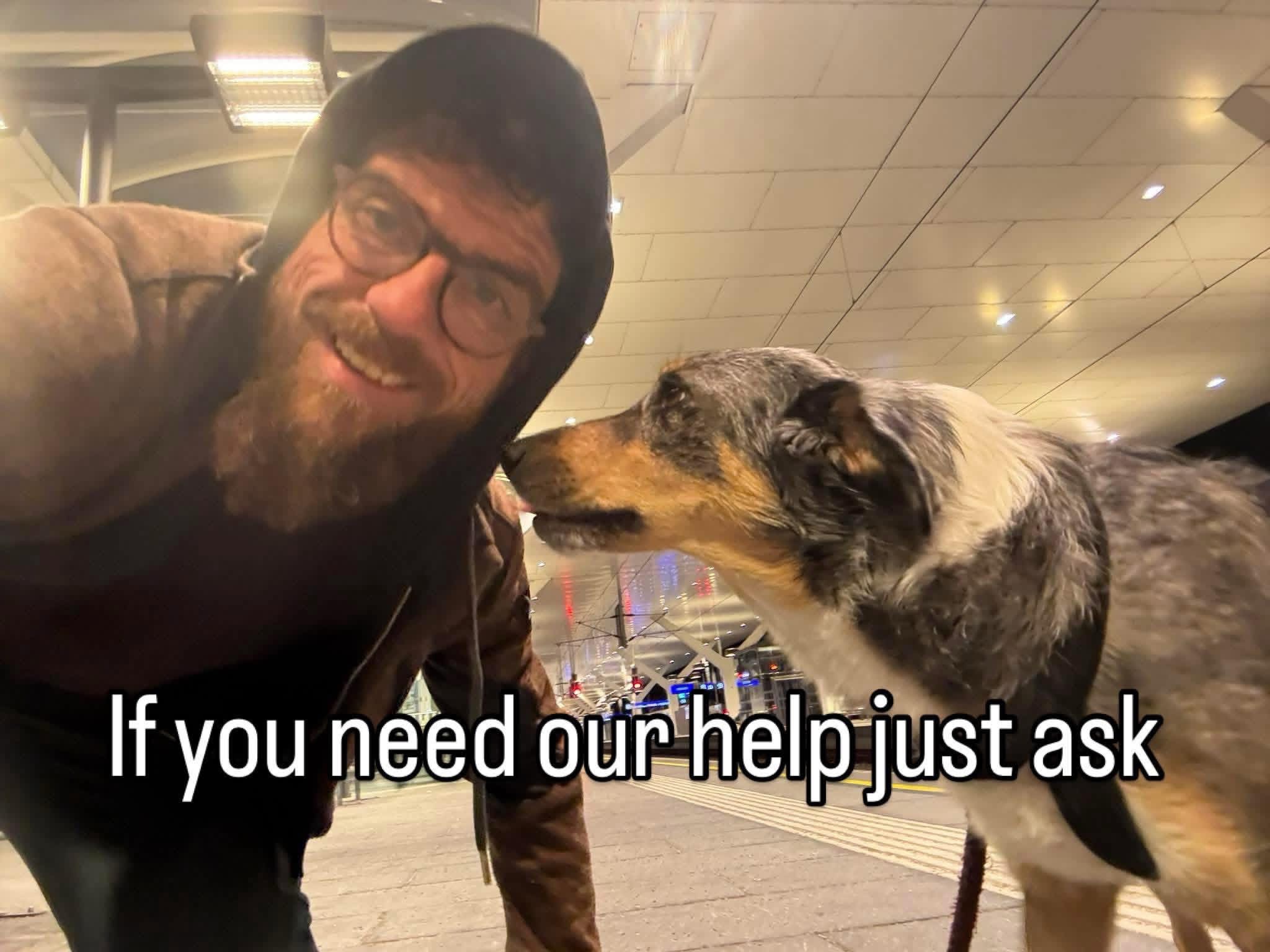 Help us Help with Permaculture & Alchemie campaign photo, 2 of 8