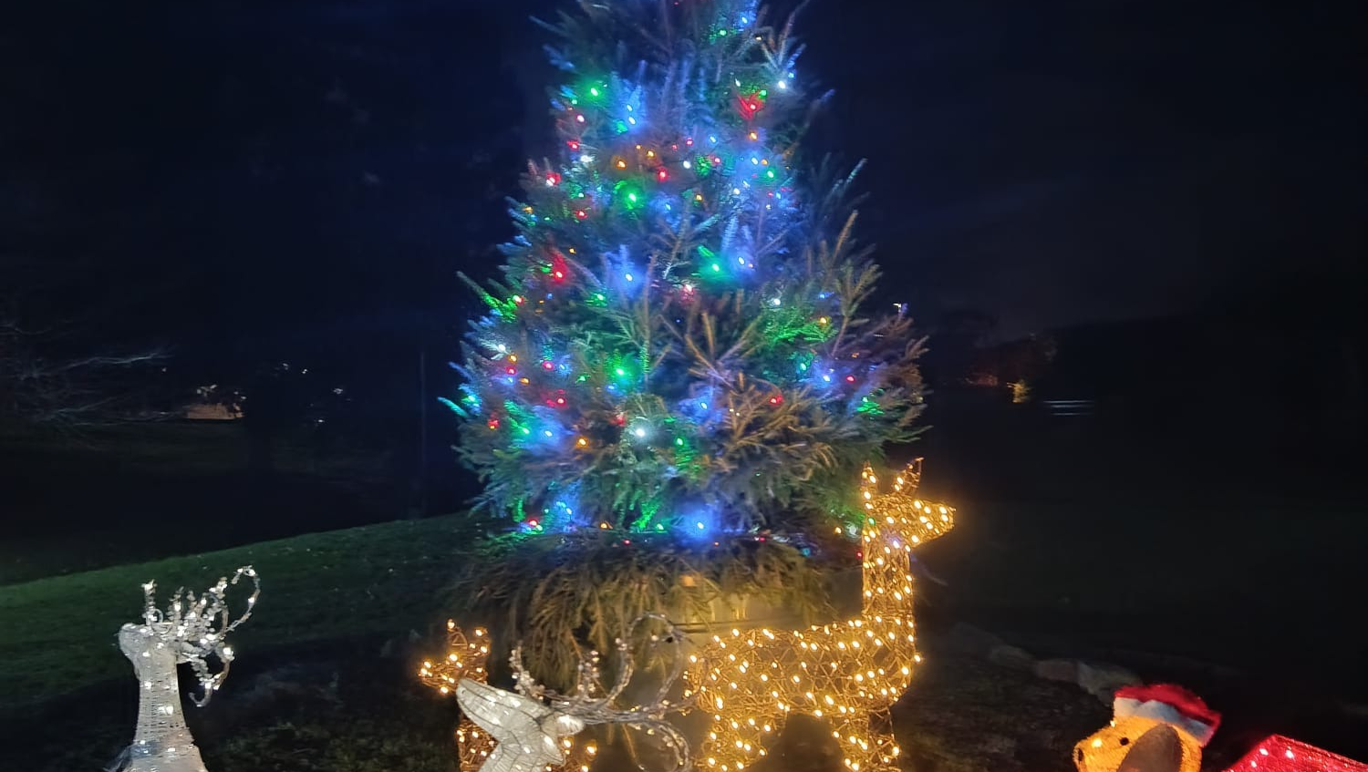 I'm homeless as hell man (no but seriously) photo