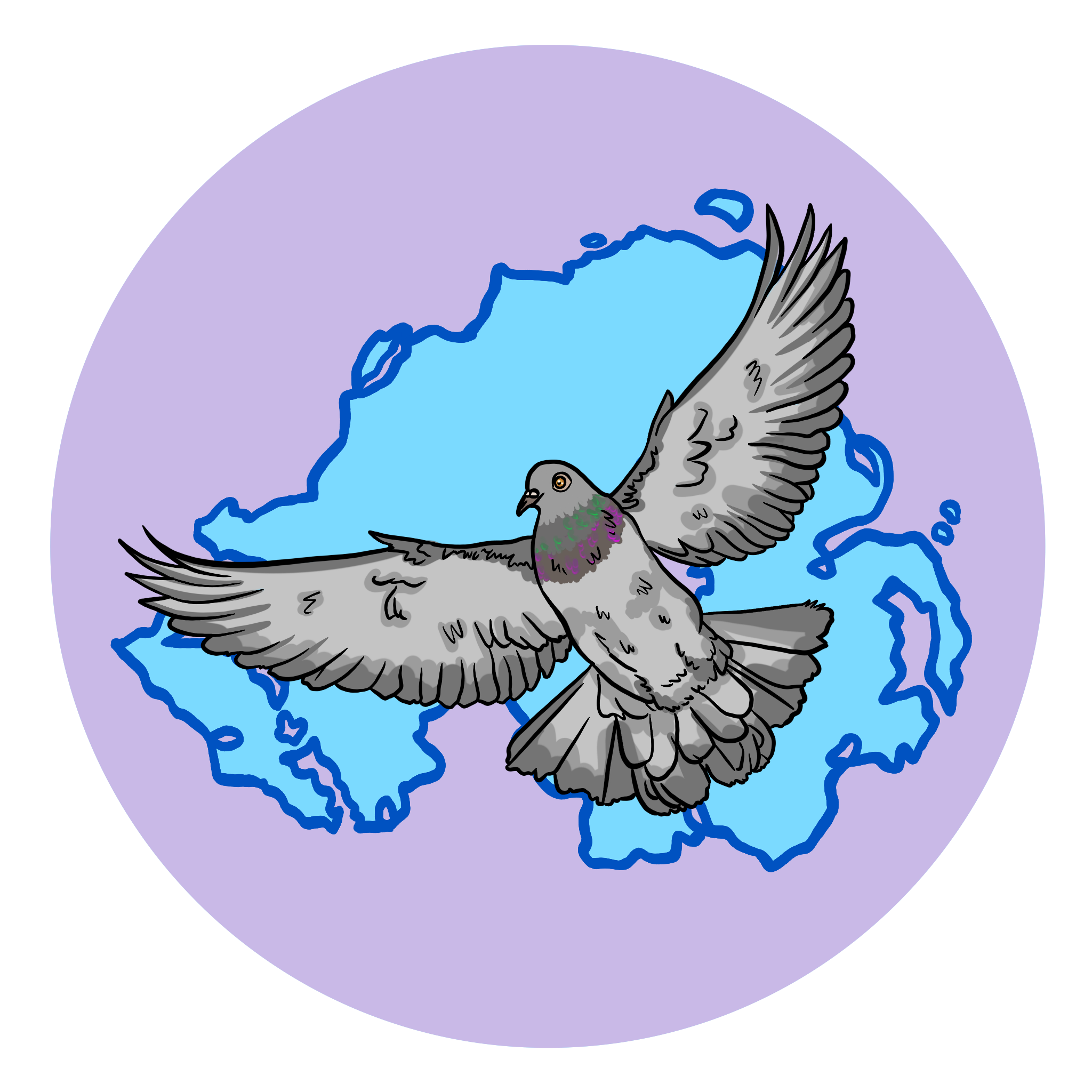 Six Counties Pigeon Support Donations campaign photo, 2 of 5