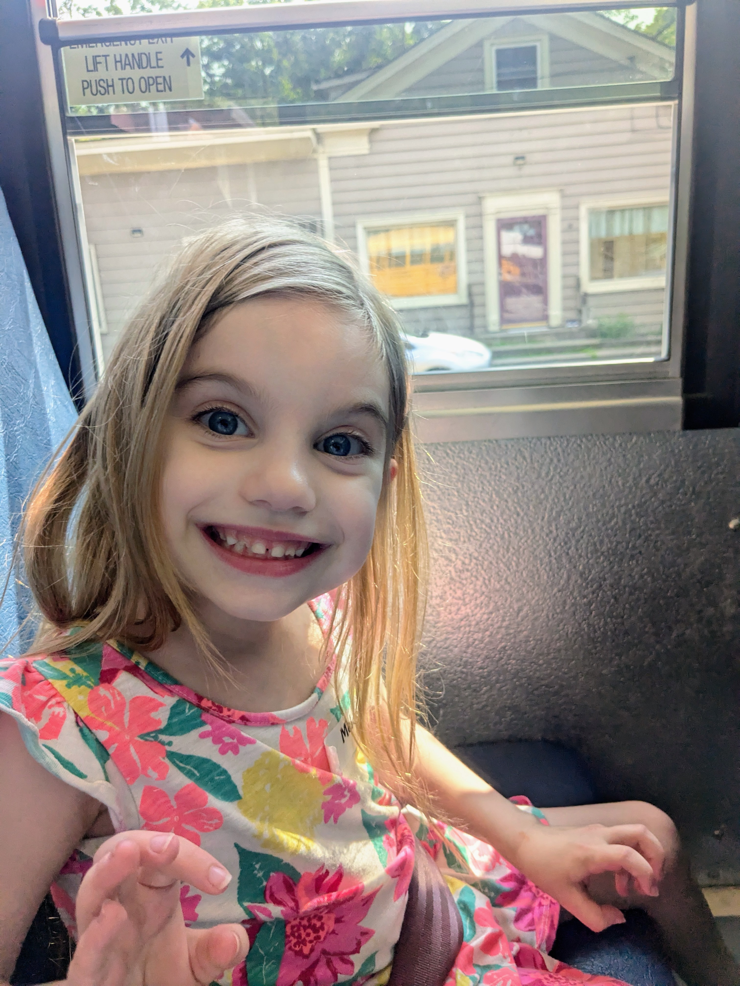 Help Meladee get Urgent Dental Surgery under Anesthesia campaign photo, 2 of 6