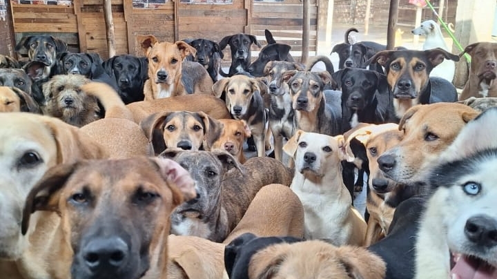 Donar cambia vidas, hagámoslo juntos con el Refugio de Sky. photo