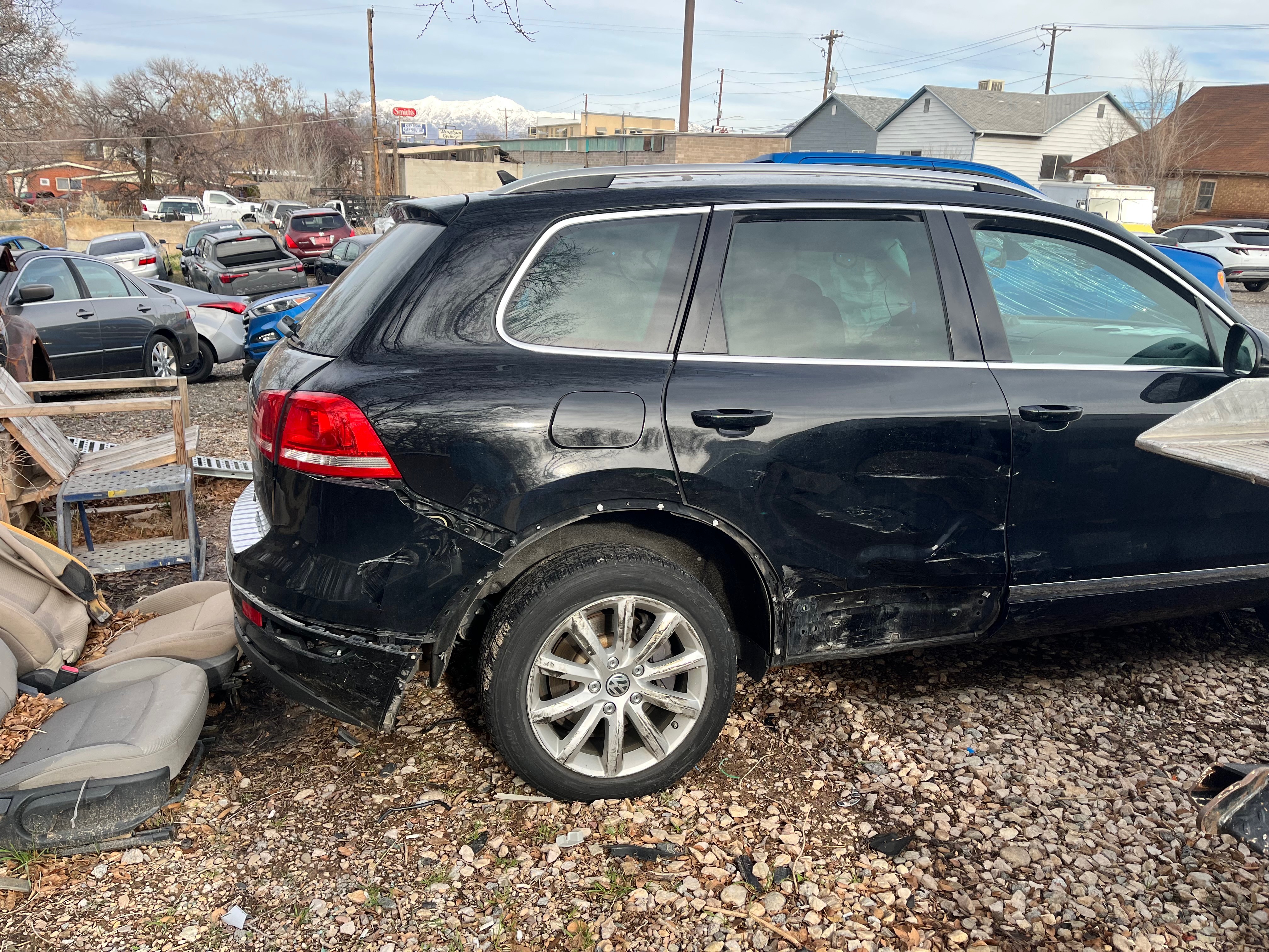 Help My Sweet Bailey Recover After Car Accident campaign photo, 4 of 7