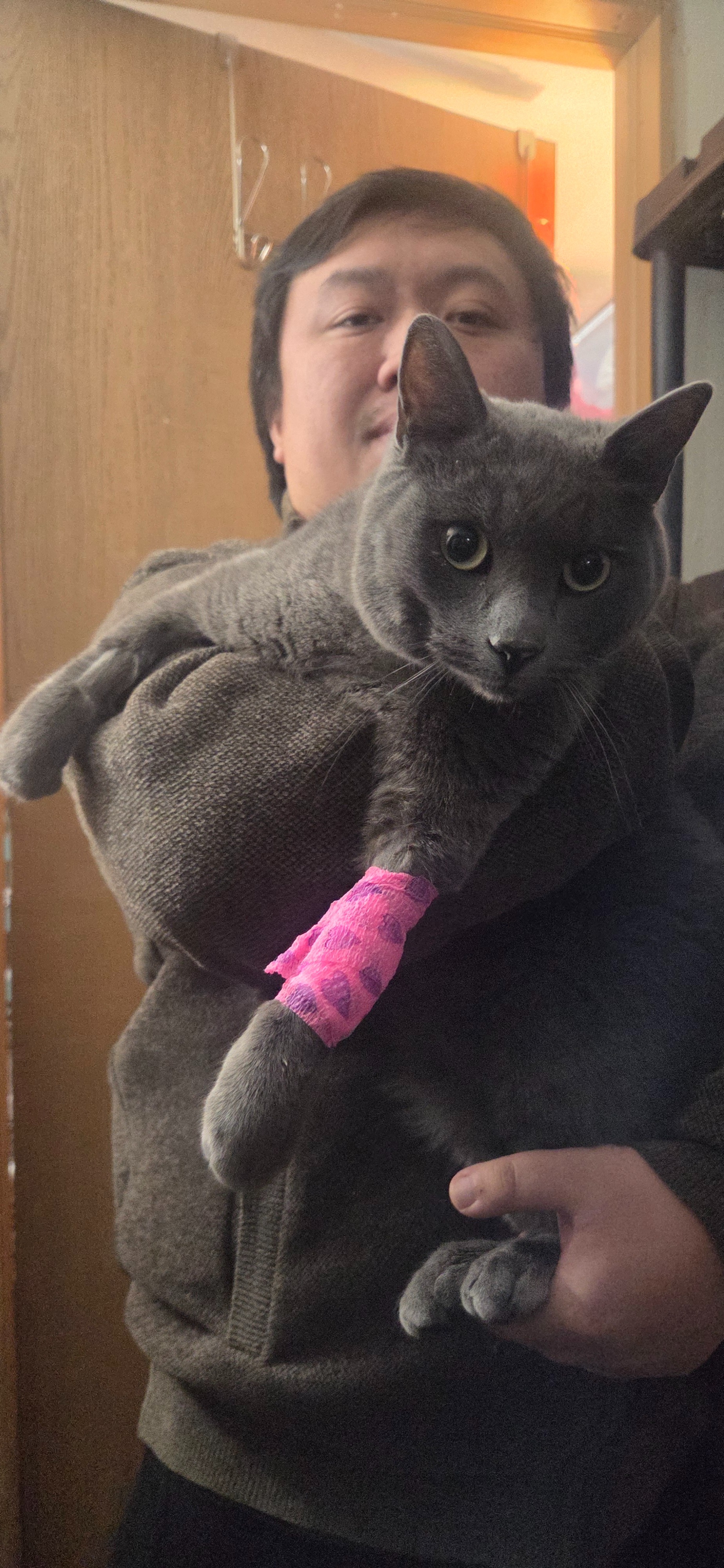 Help Greywind With His Emergency Treatment campaign photo, 5 of 8