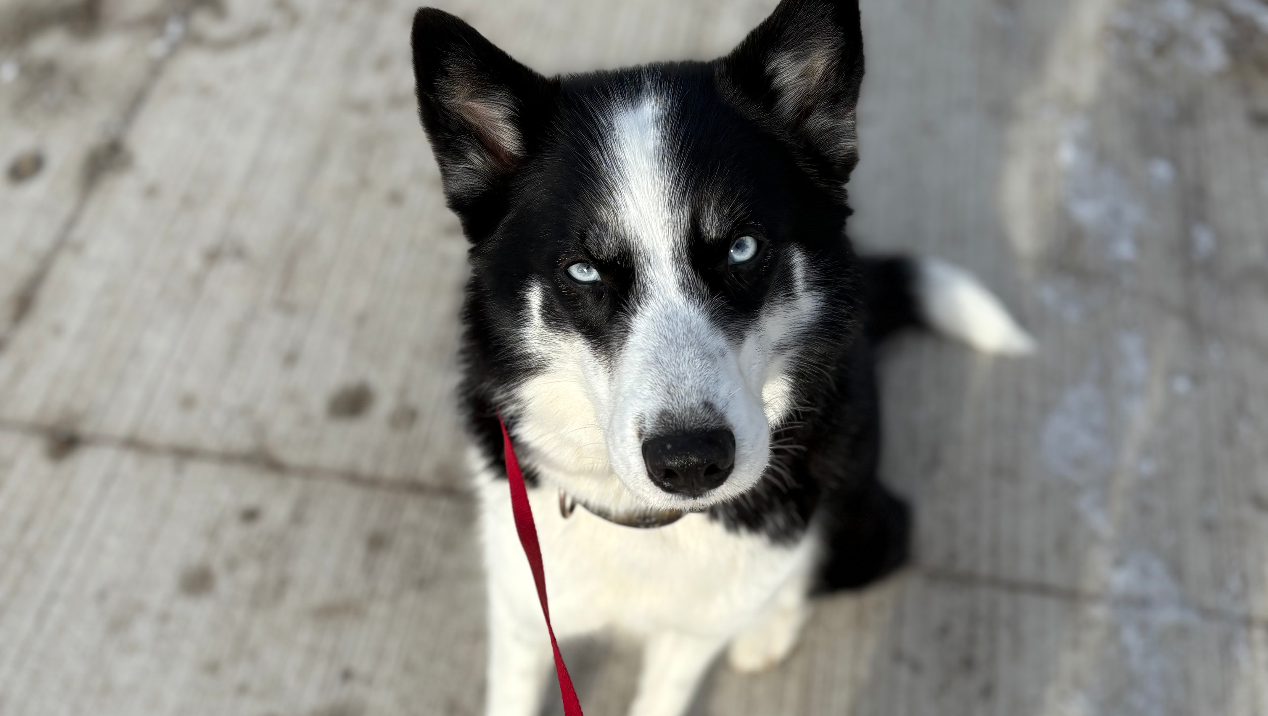 Help me raise money to move to a bigger place please photo