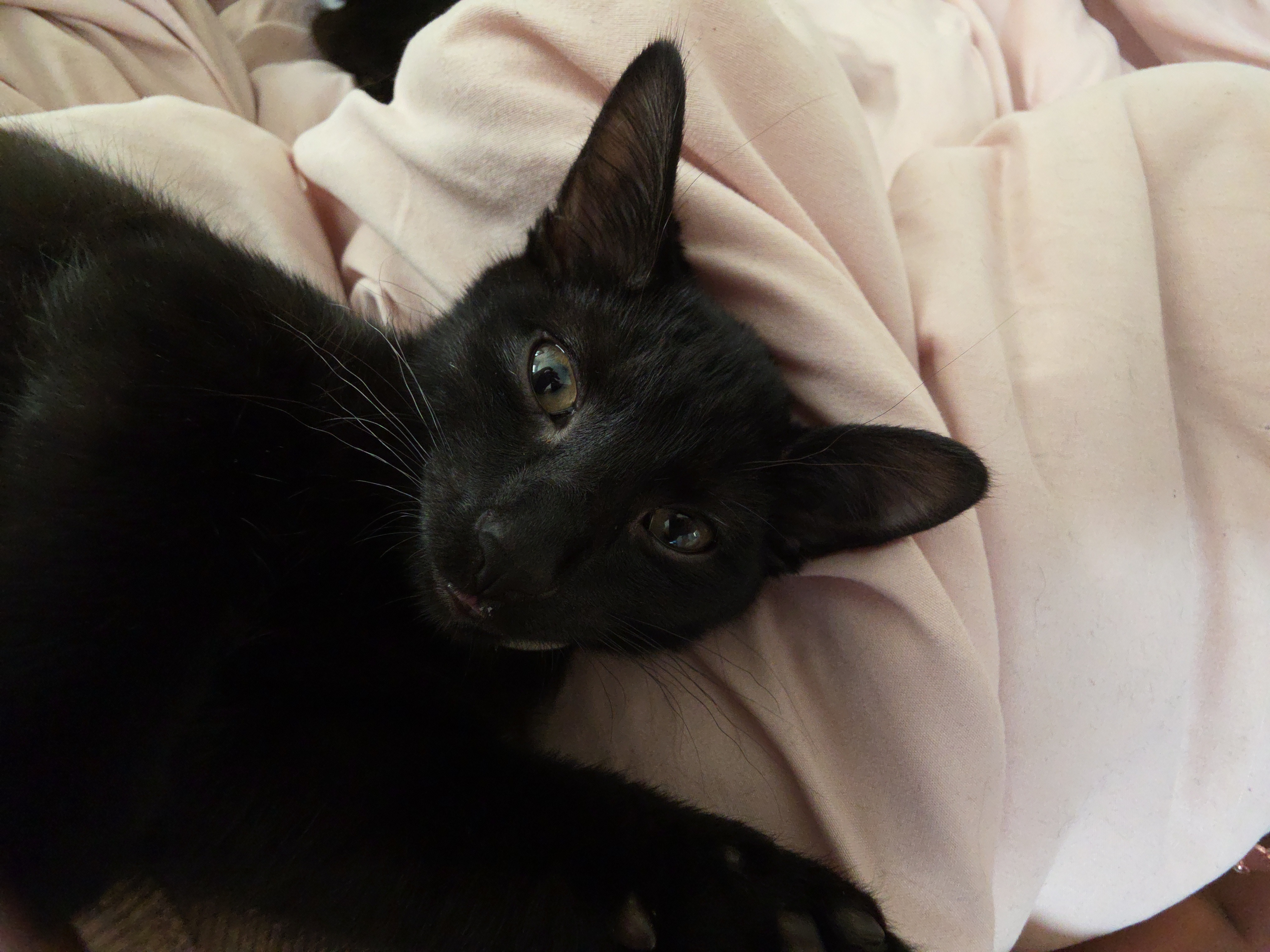 Help Save BeeBee Boy’s Life campaign photo, 5 of 8