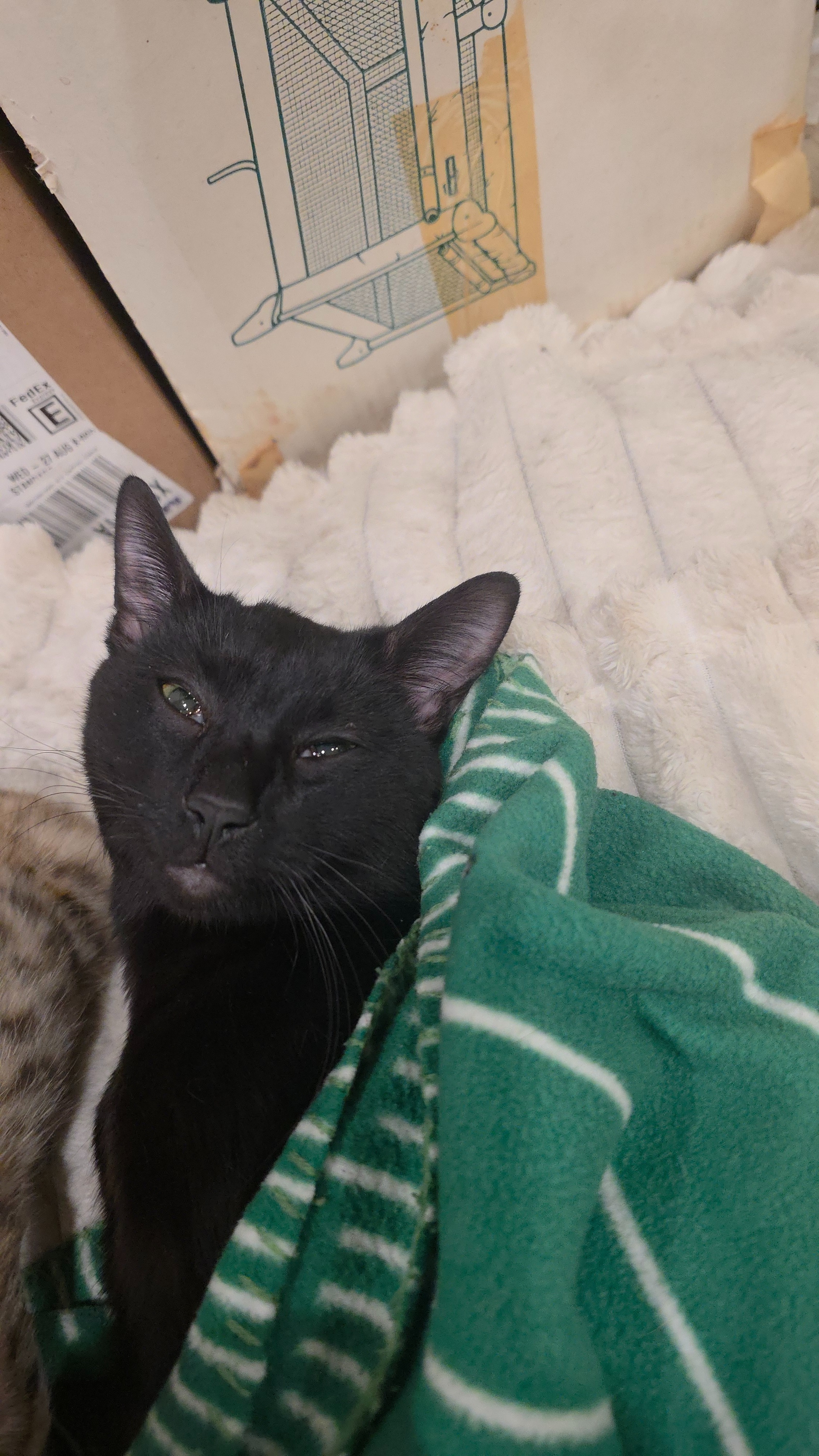 Help Save BeeBee Boy’s Life campaign photo, 6 of 8