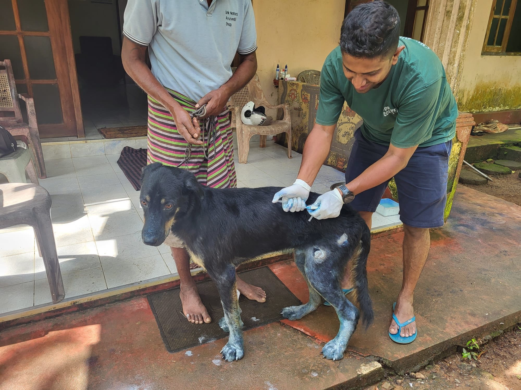 Help Give Stray Dogs & Cats in Bentota a Better Future ❤️ campaign photo, 7 of 8