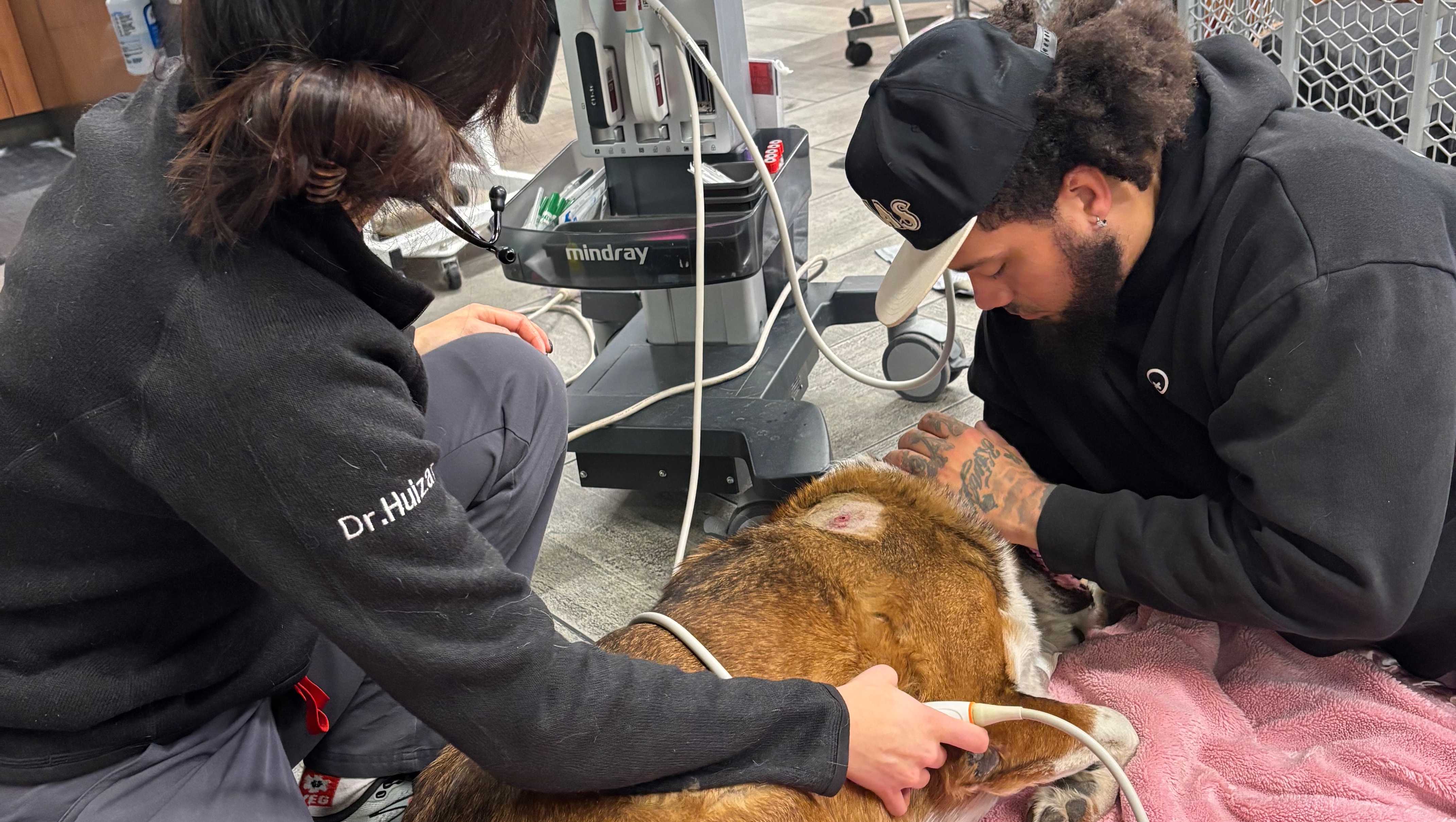 Justice Ranada Ringo Fundraiser by Gabrielle Colvin : Justice and Healing for Ringo and Granny
