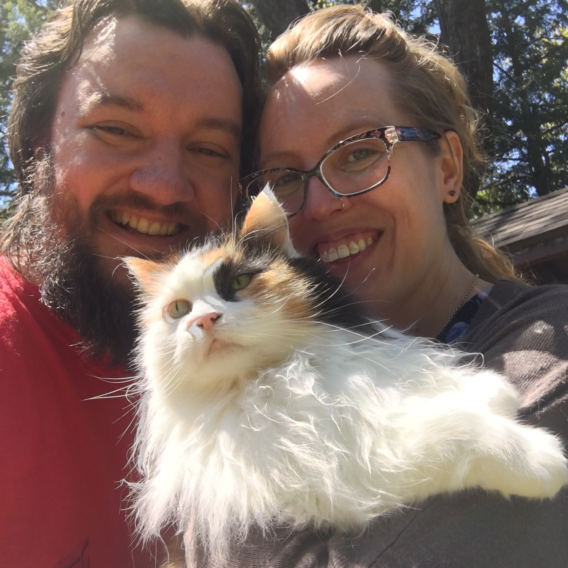 Support Pickles’ Vet Bills campaign photo, 4 of 7