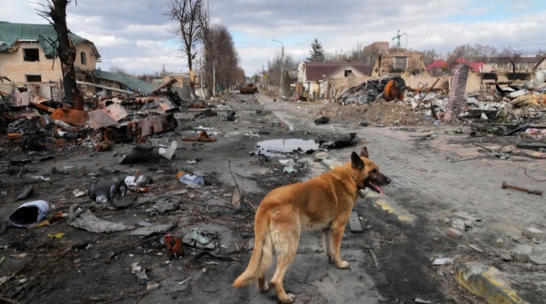 Huddersfield to Ukraine Humanitarian Aid campaign photo, 2 of 8
