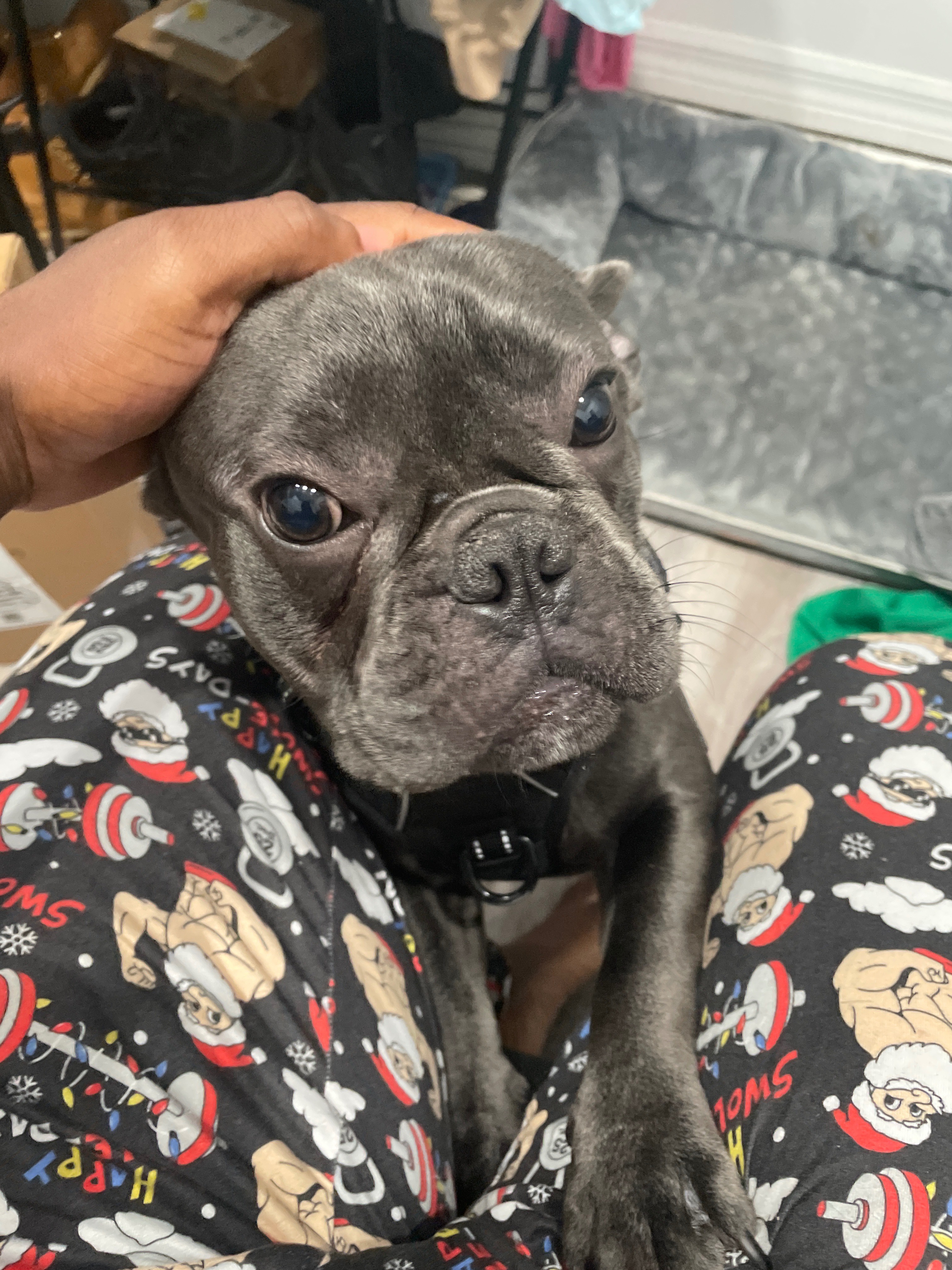 Help Ash Get Lifesaving Surgery campaign photo, 5 of 8