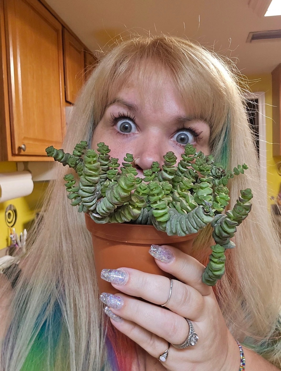 Help Jenna Rebuild Her Beloved Plant Shop campaign photo, 2 of 4