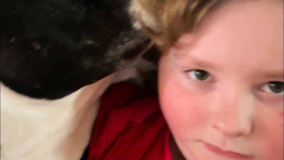 Help a Family Facing Eviction and Hardship photo