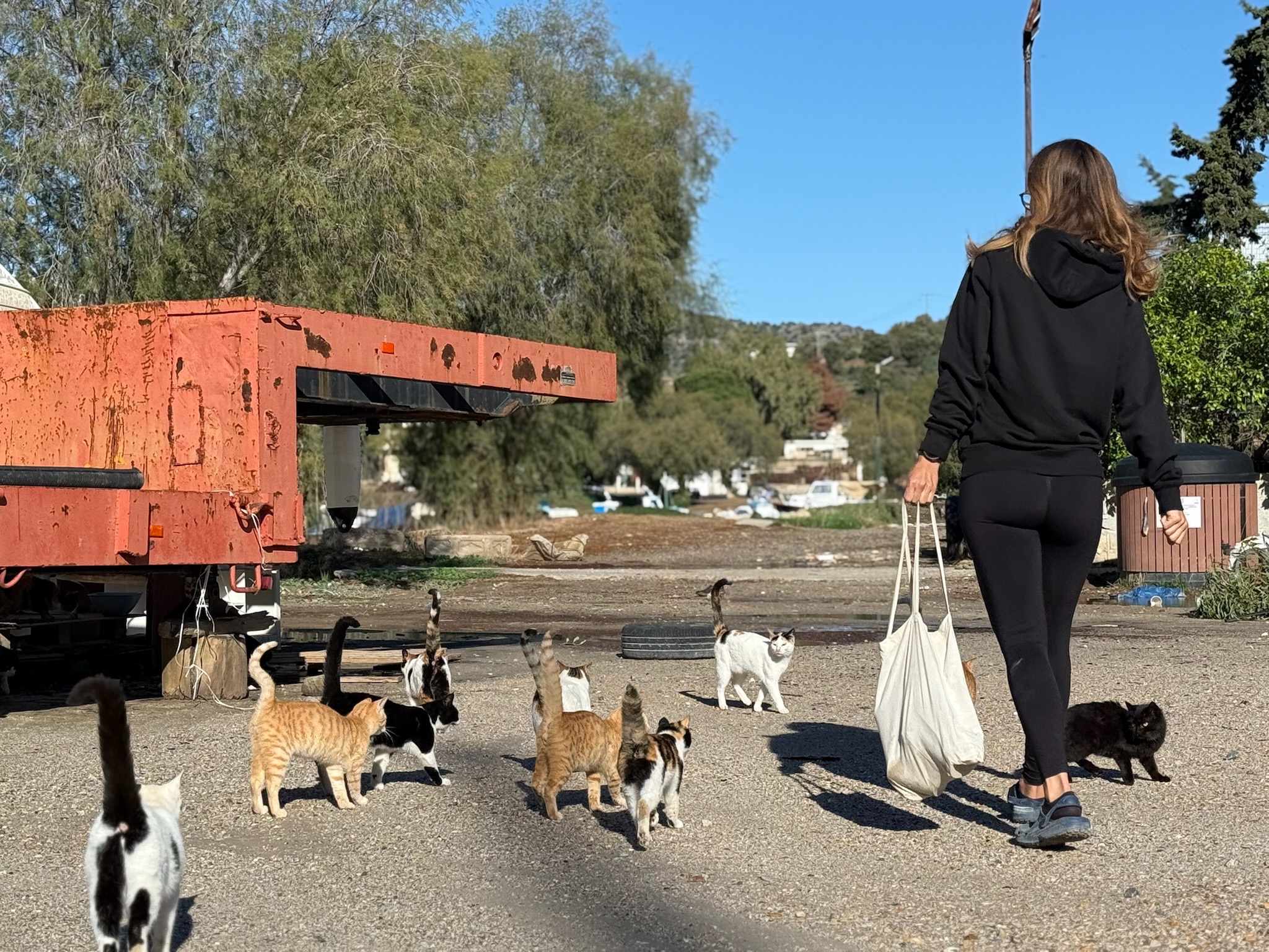 Kampagnen-Foto für Catcouse Project – Hilfe für Straßenkatzen, 7 von 8