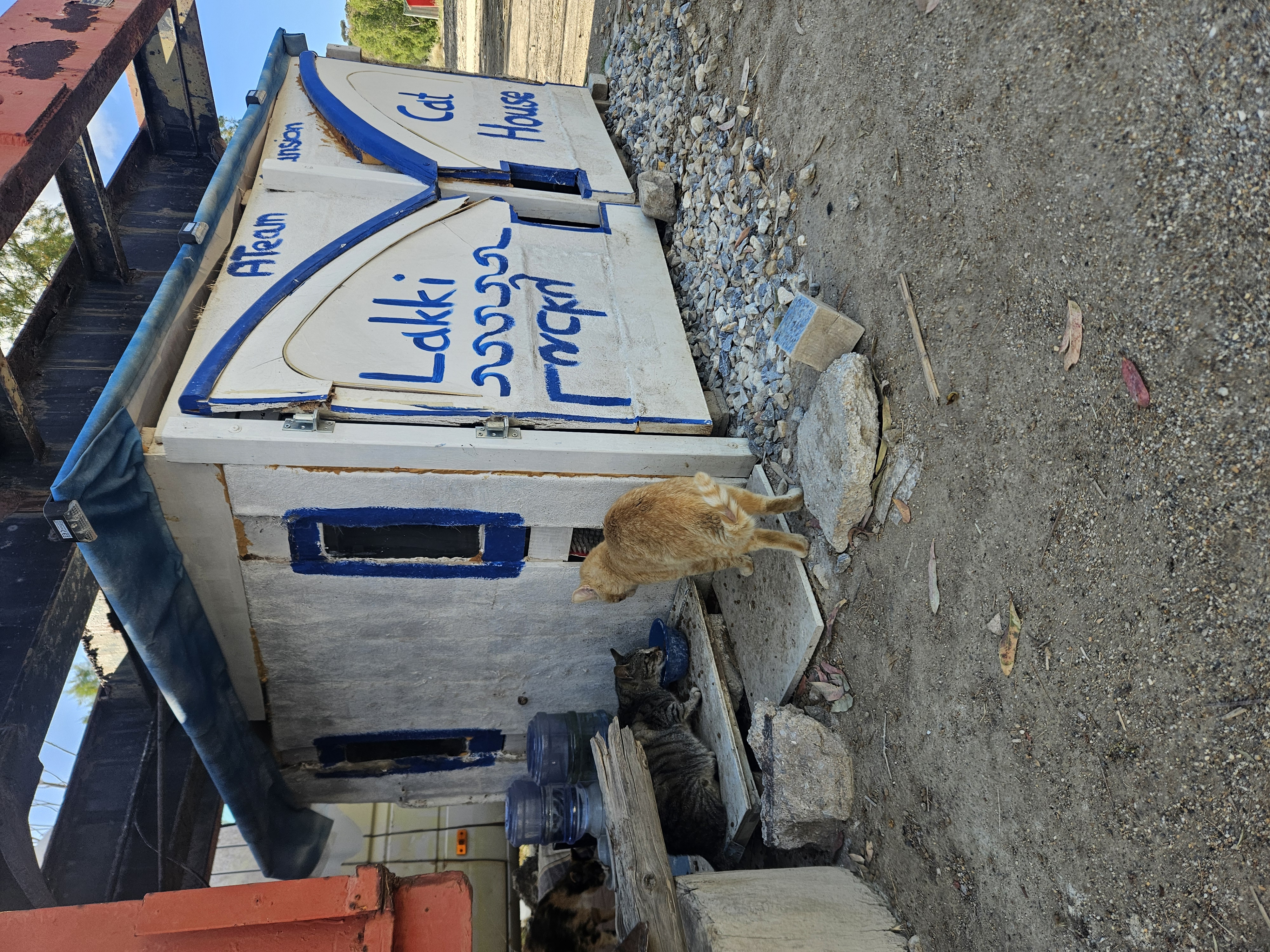 Kampagnen-Foto für Catcouse Project – Hilfe für Straßenkatzen, 5 von 8