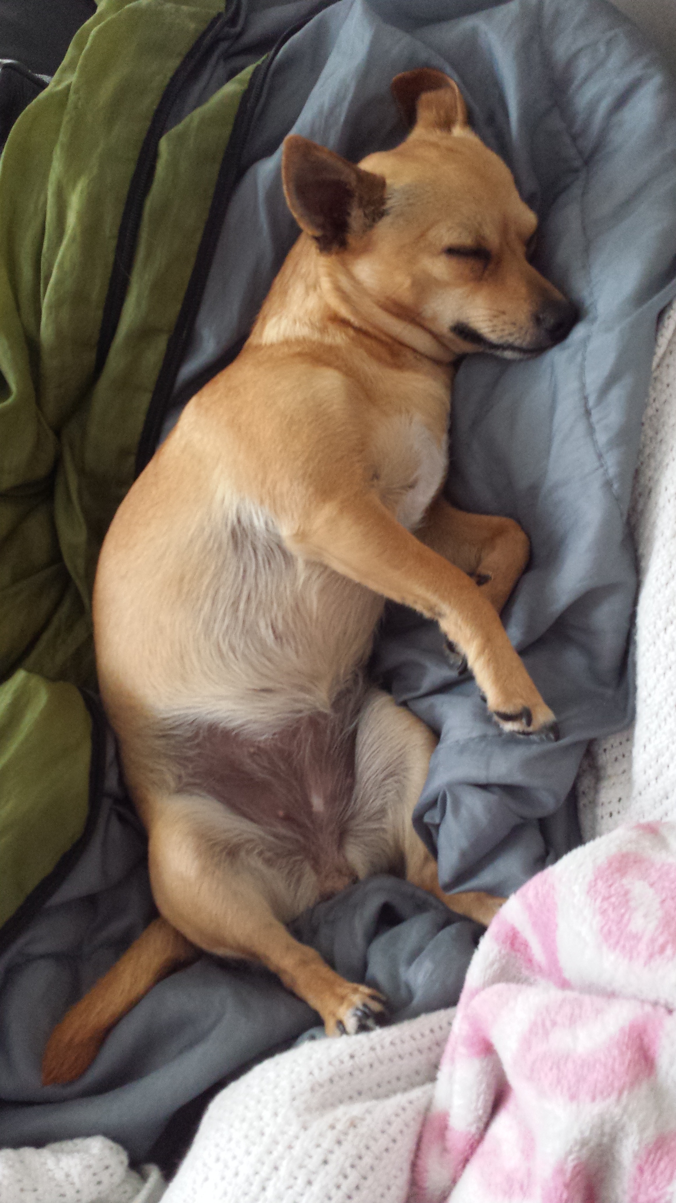 Help us say goodbye to Maisy campaign photo, 2 of 6