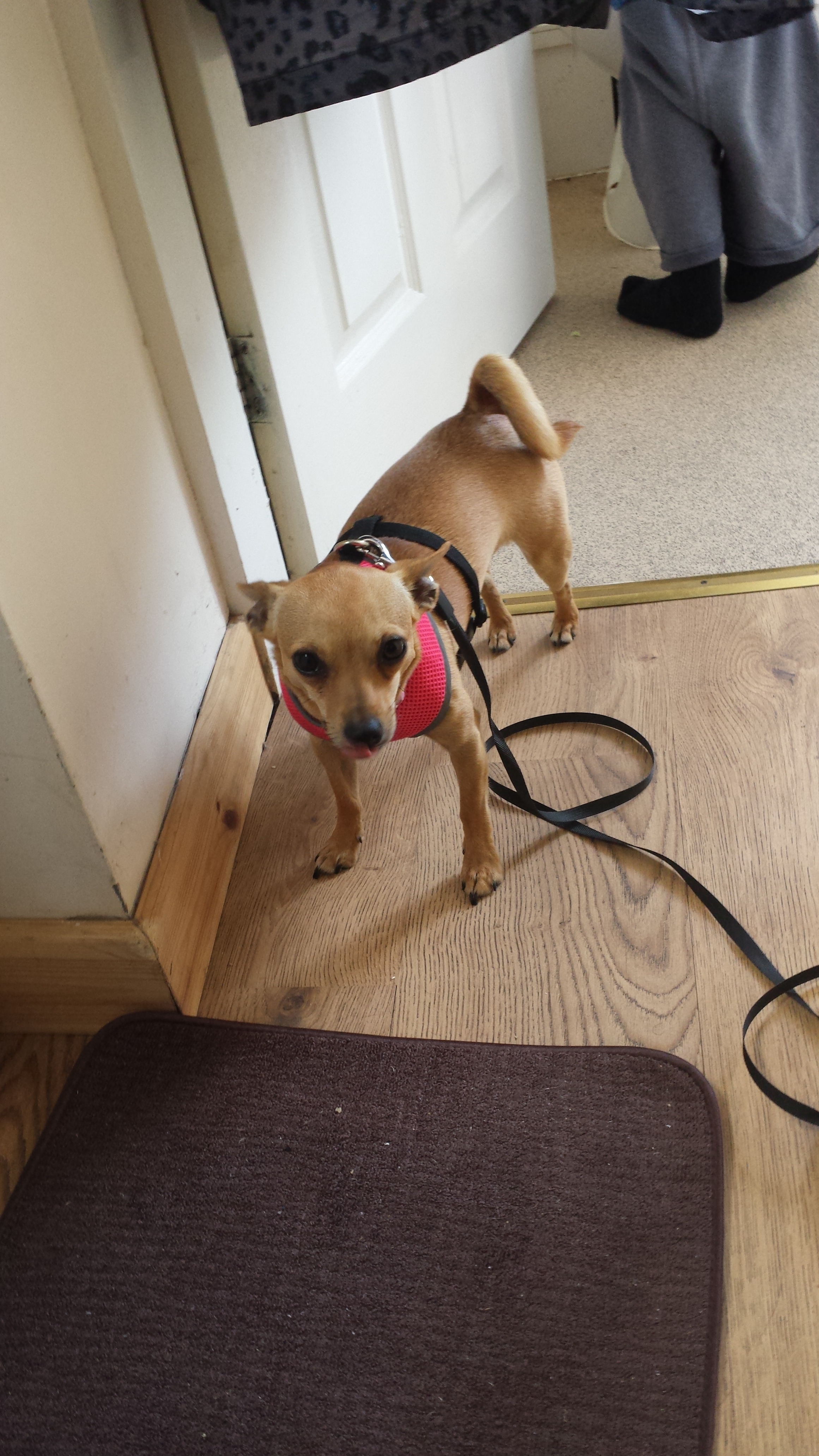 Help us say goodbye to Maisy campaign photo, 6 of 6