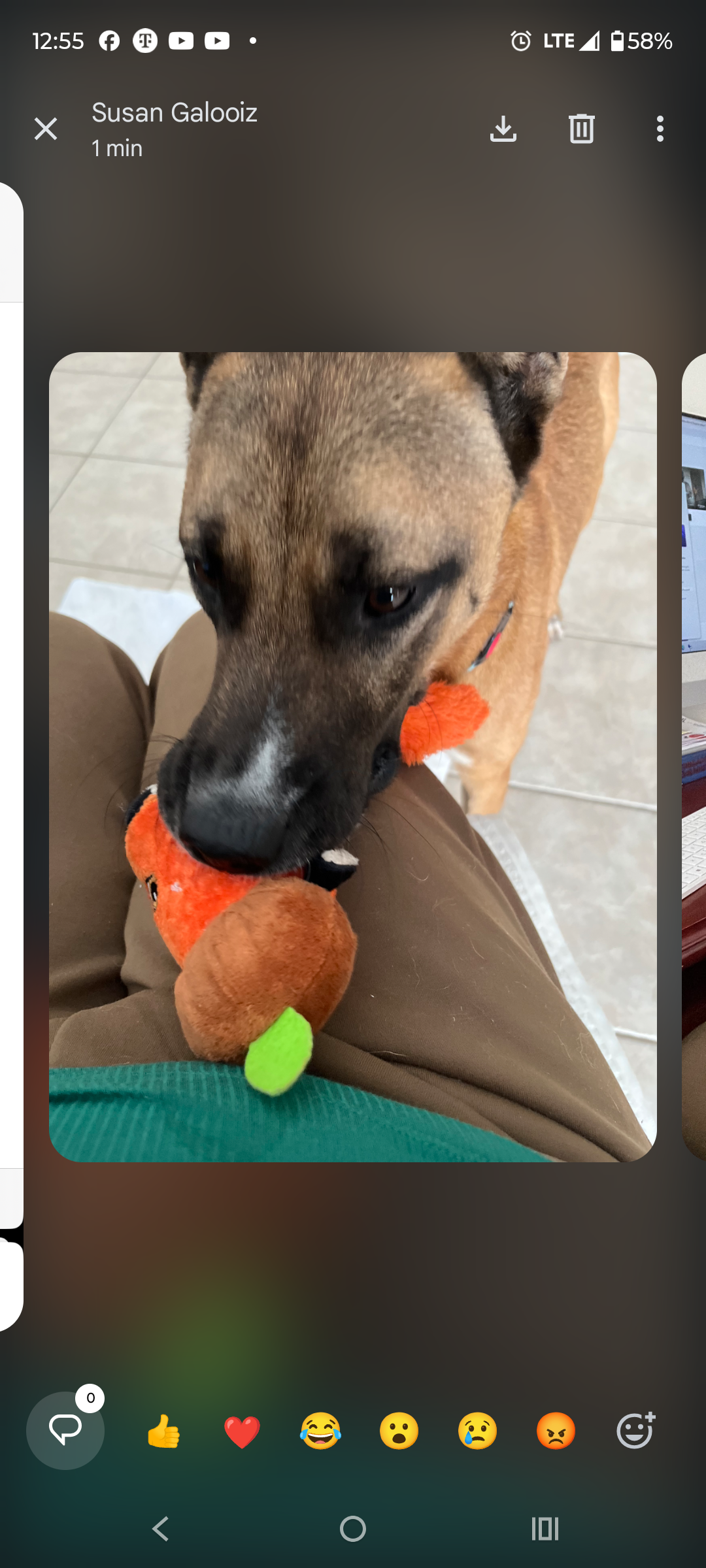 Please Help us Give Peanut His Second Chance campaign photo, 2 of 7
