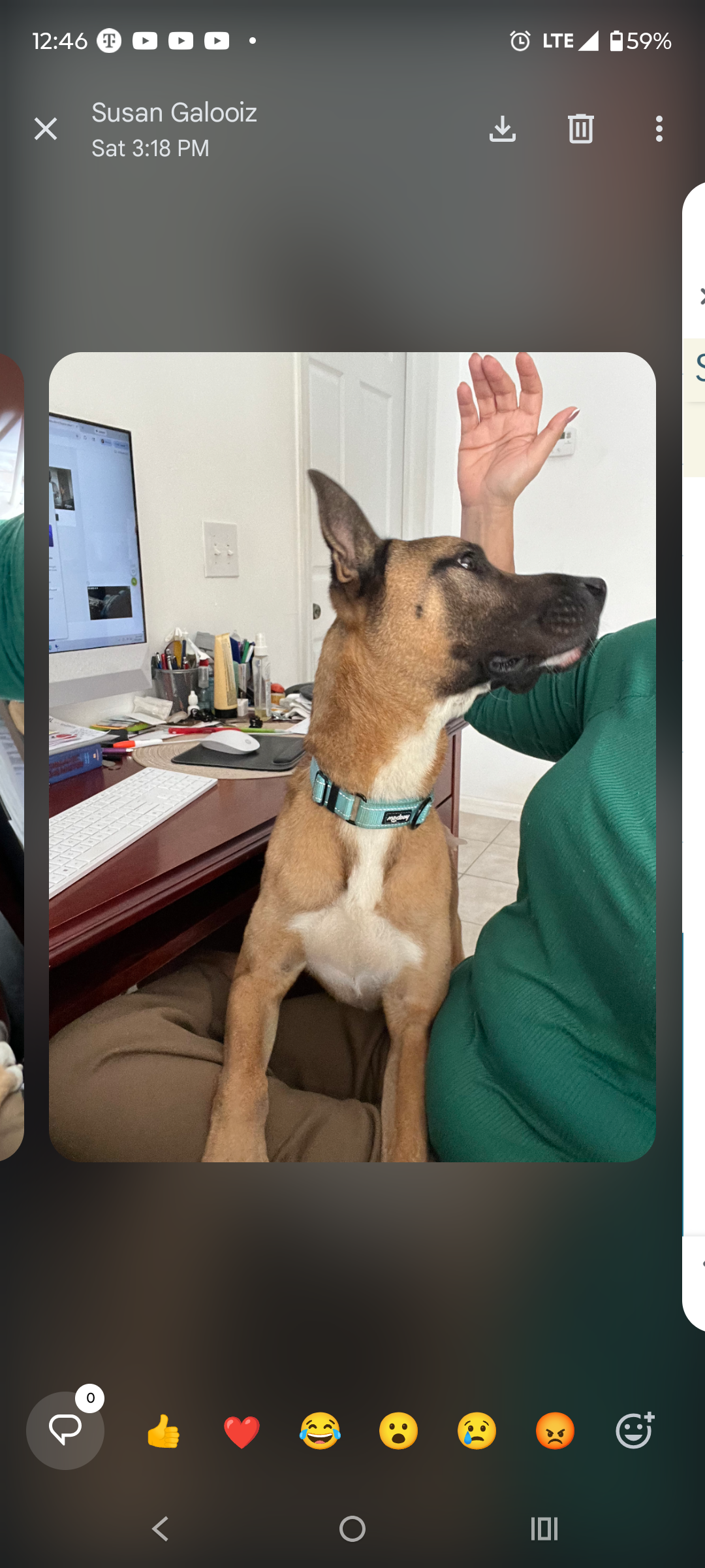 Please Help us Give Peanut His Second Chance campaign photo, 5 of 7