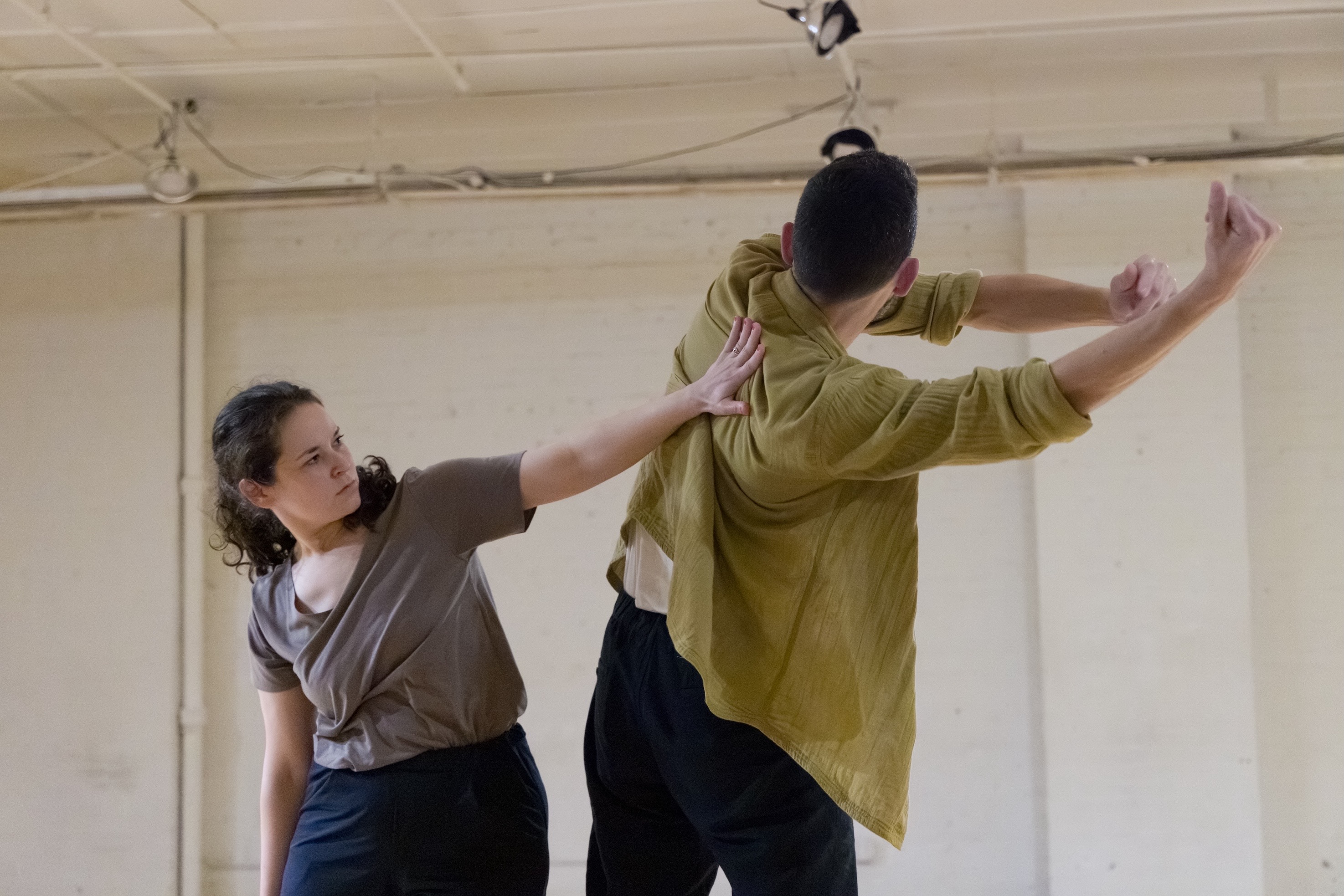 Support Falcon Dance's new 2026 project! campaign photo, 2 of 4