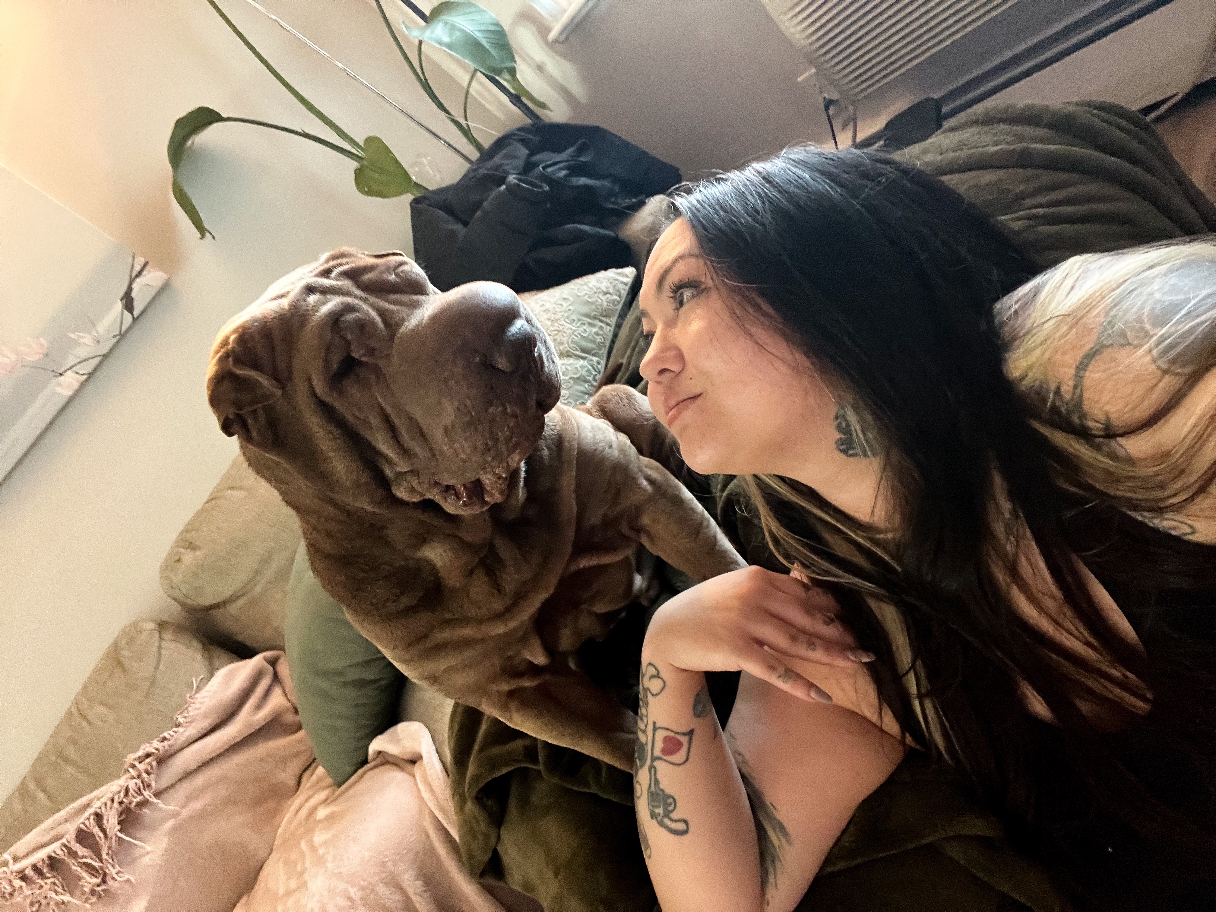 Help Brutus Heal After Dog Bite Turned Bad campaign photo, 2 of 6