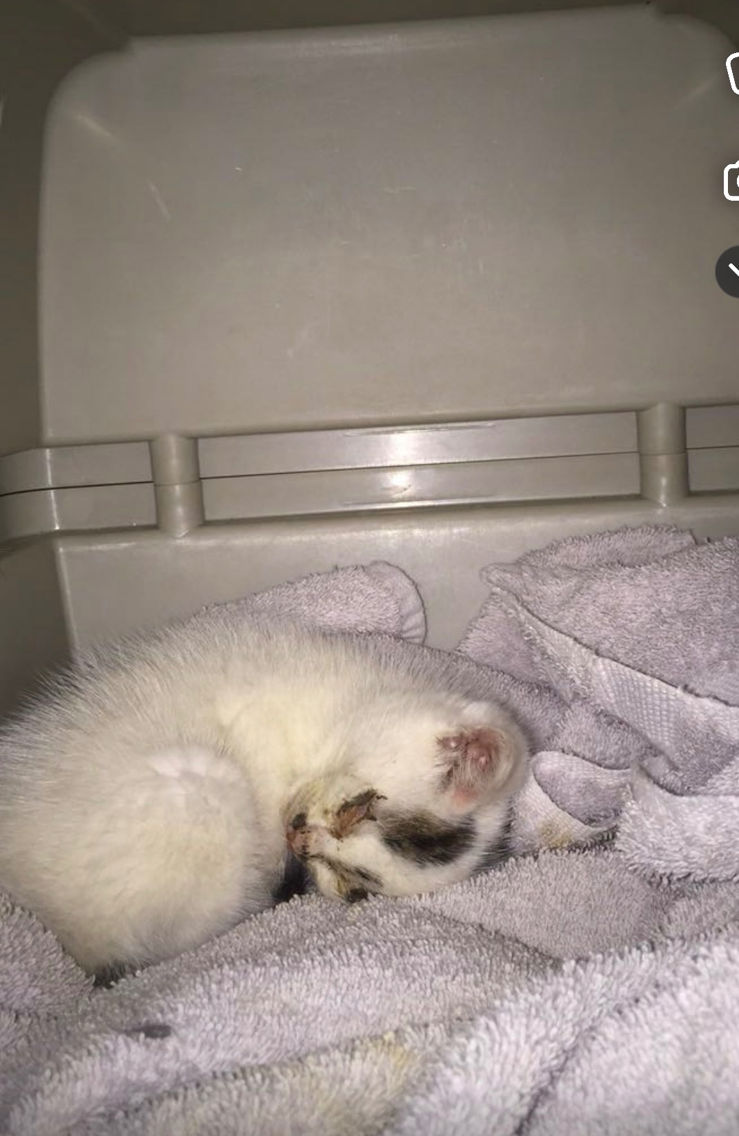 Help Fund Marbles Medical Journey campaign photo, 7 of 8