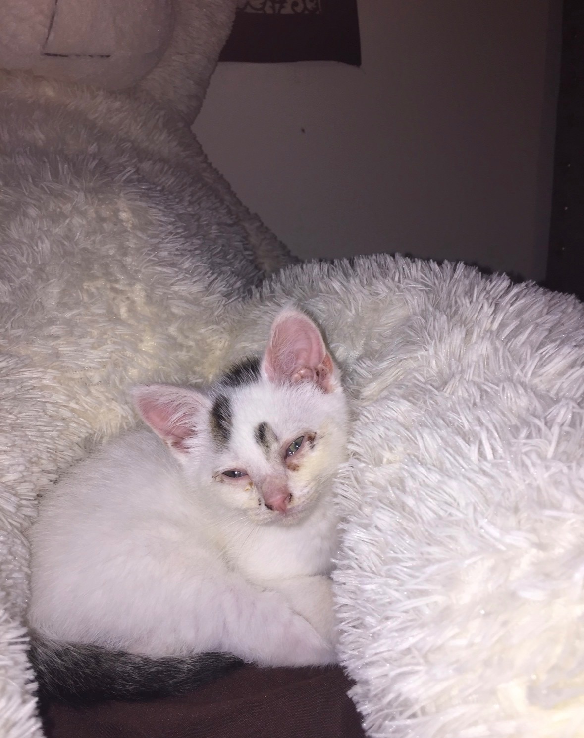 Help Fund Marbles Medical Journey campaign photo, 2 of 8