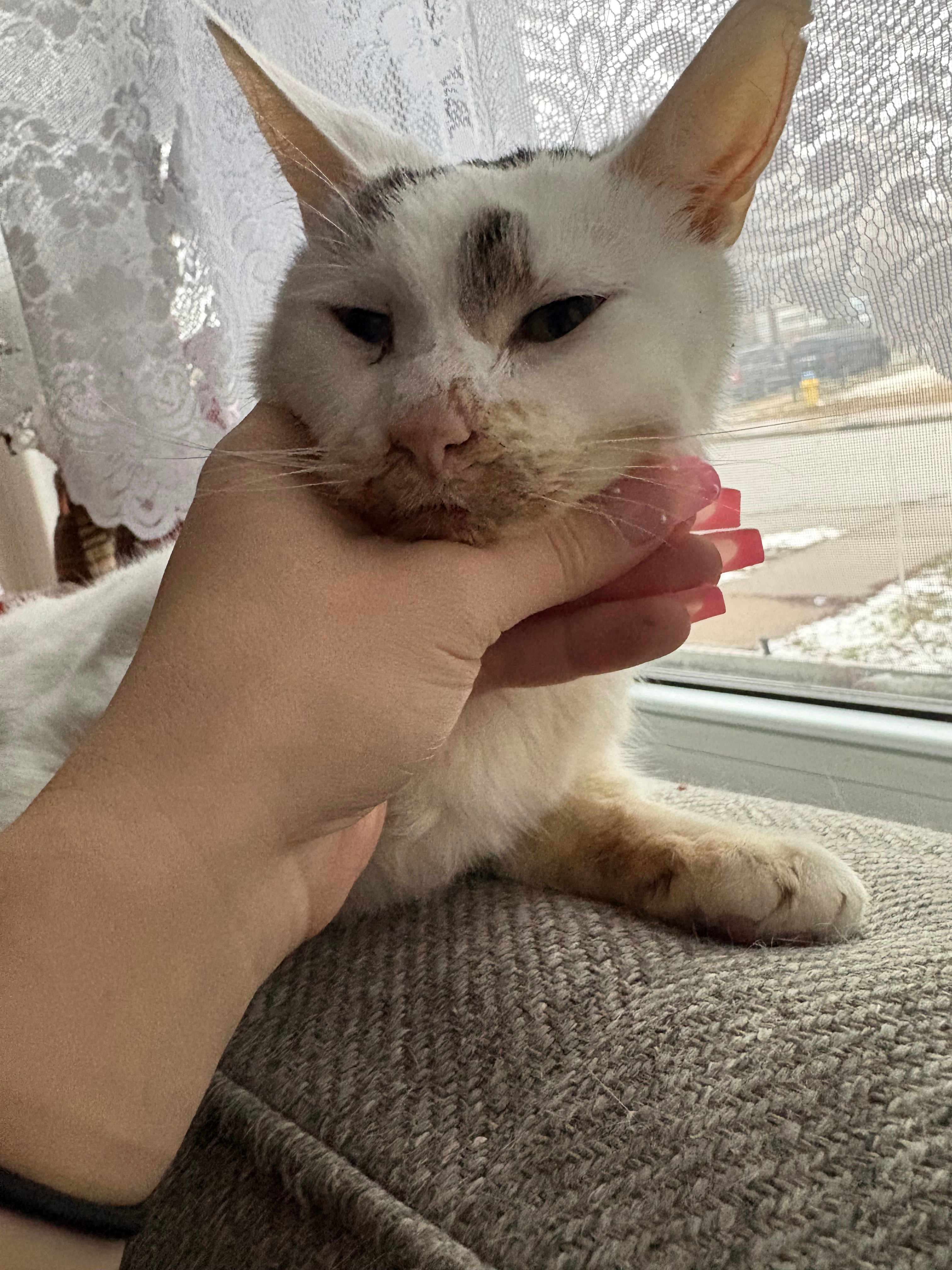 Help Fund Marbles Medical Journey campaign photo, 4 of 8
