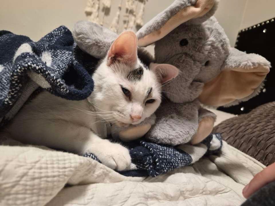 Help Fund Marbles Medical Journey campaign photo, 5 of 8