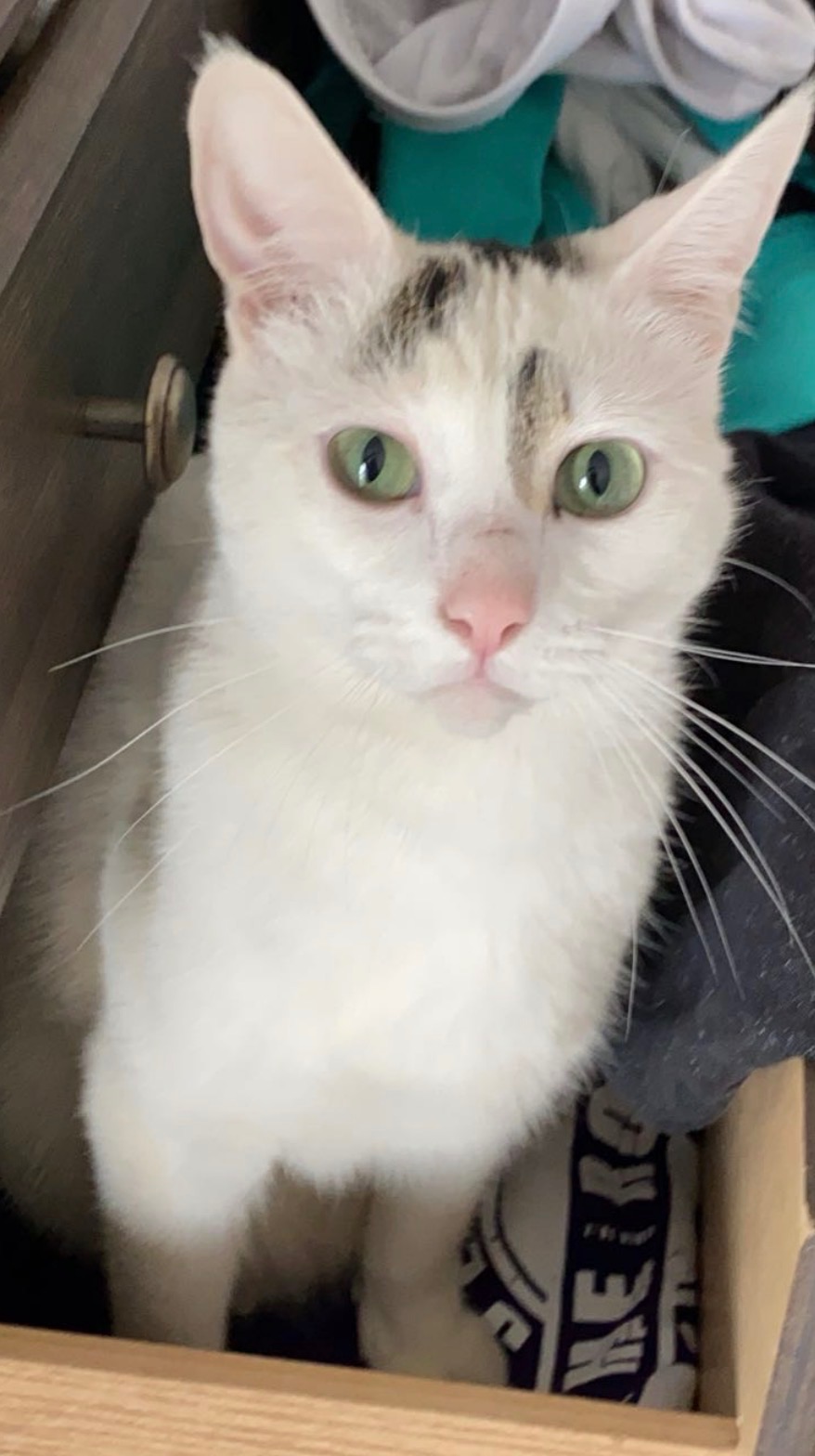 Help Fund Marbles Medical Journey campaign photo, 6 of 8