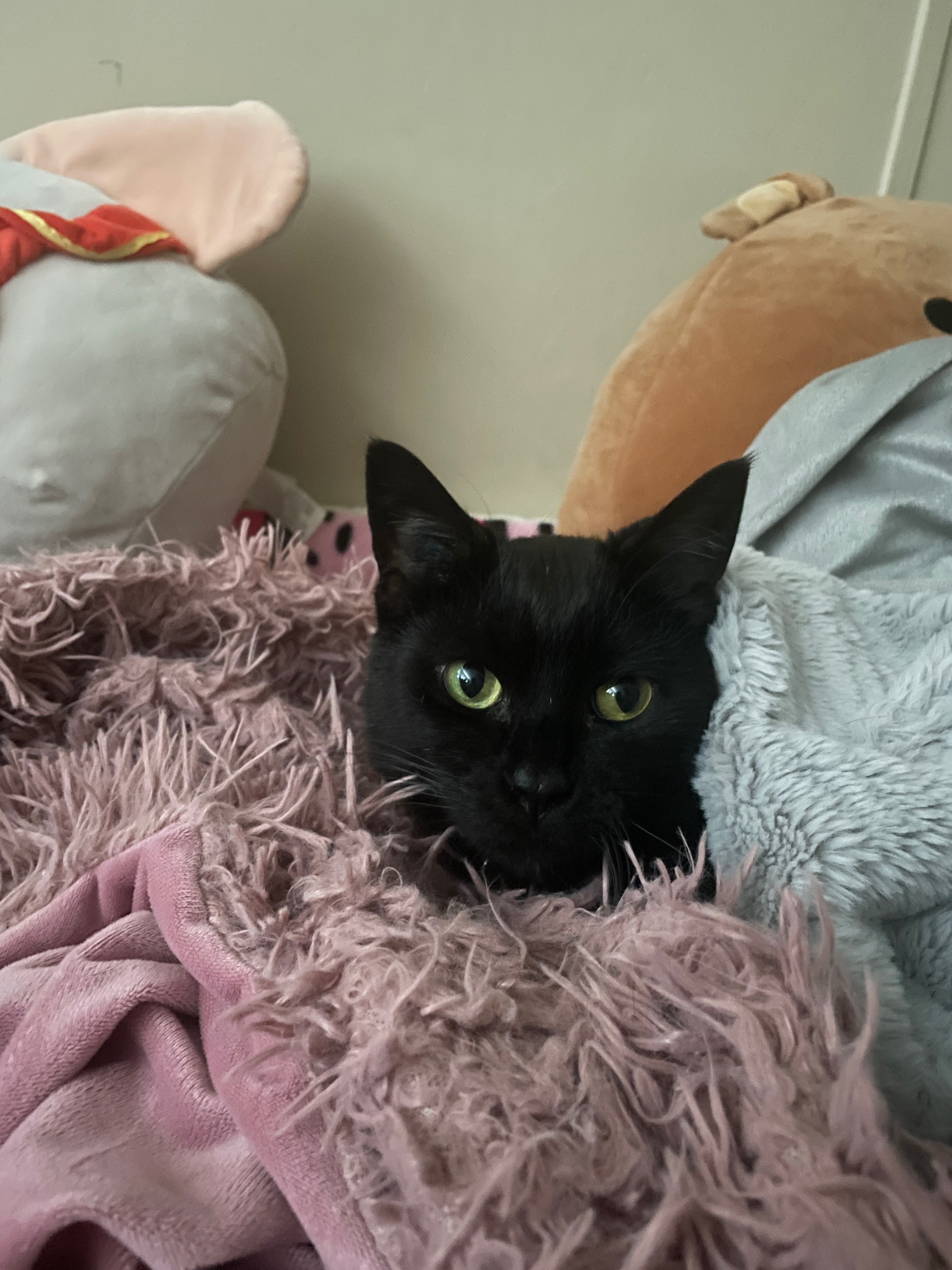 Help Ester get her surgery campaign photo, 2 of 7