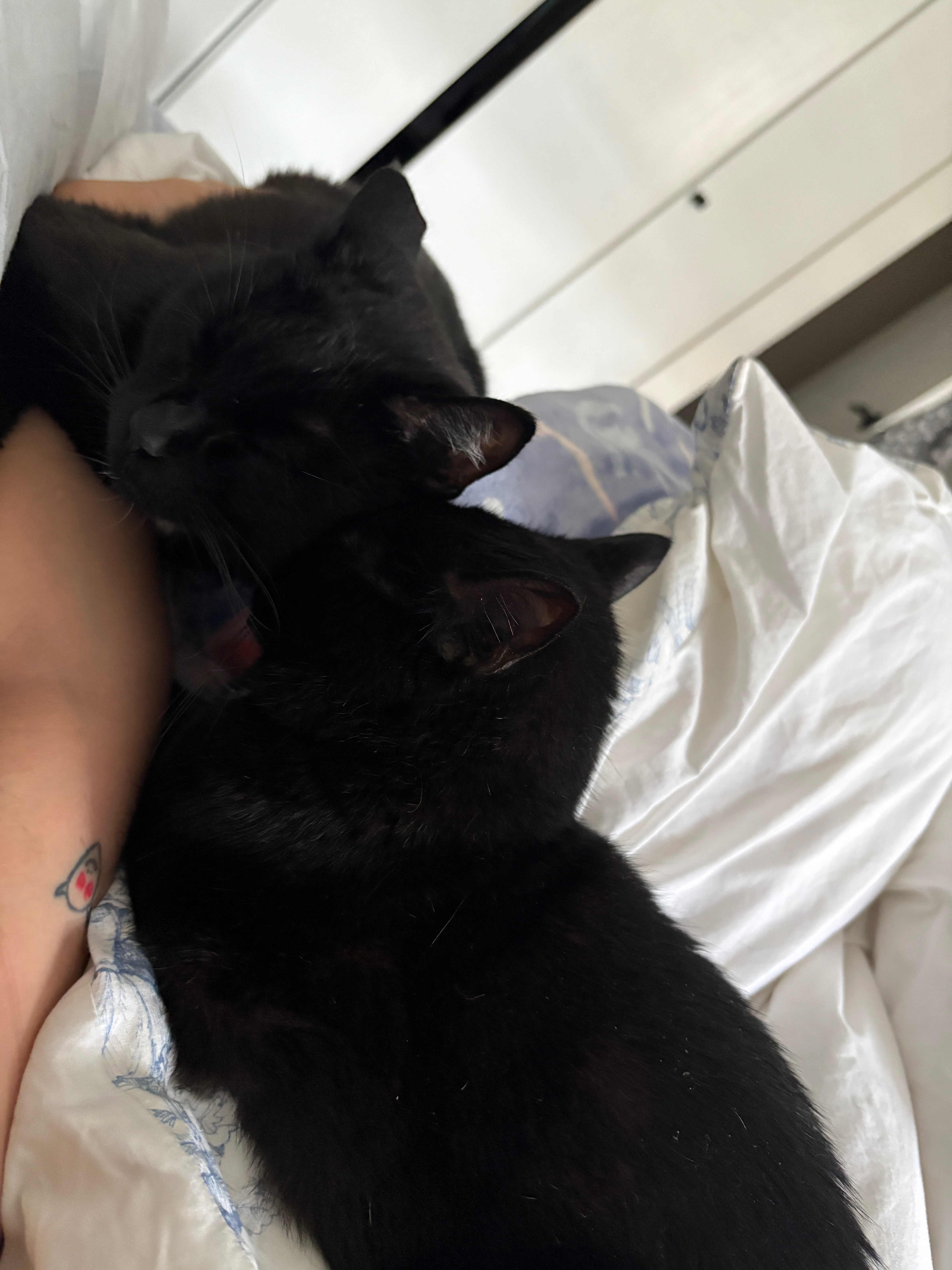 Help Ester get her surgery campaign photo, 4 of 7