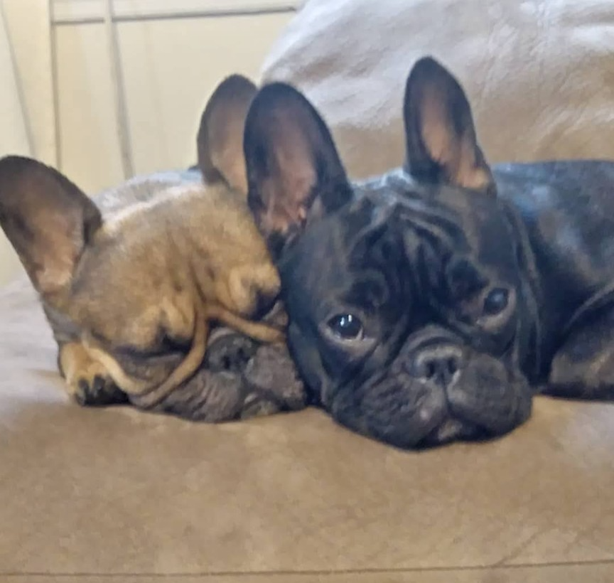 Through the Fire: Help A Hero Rebuild After a Tragic Loss campaign photo, 2 of 8