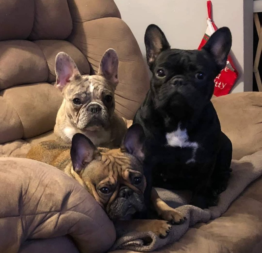 Through the Fire: Help A Hero Rebuild After a Tragic Loss campaign photo, 5 of 8