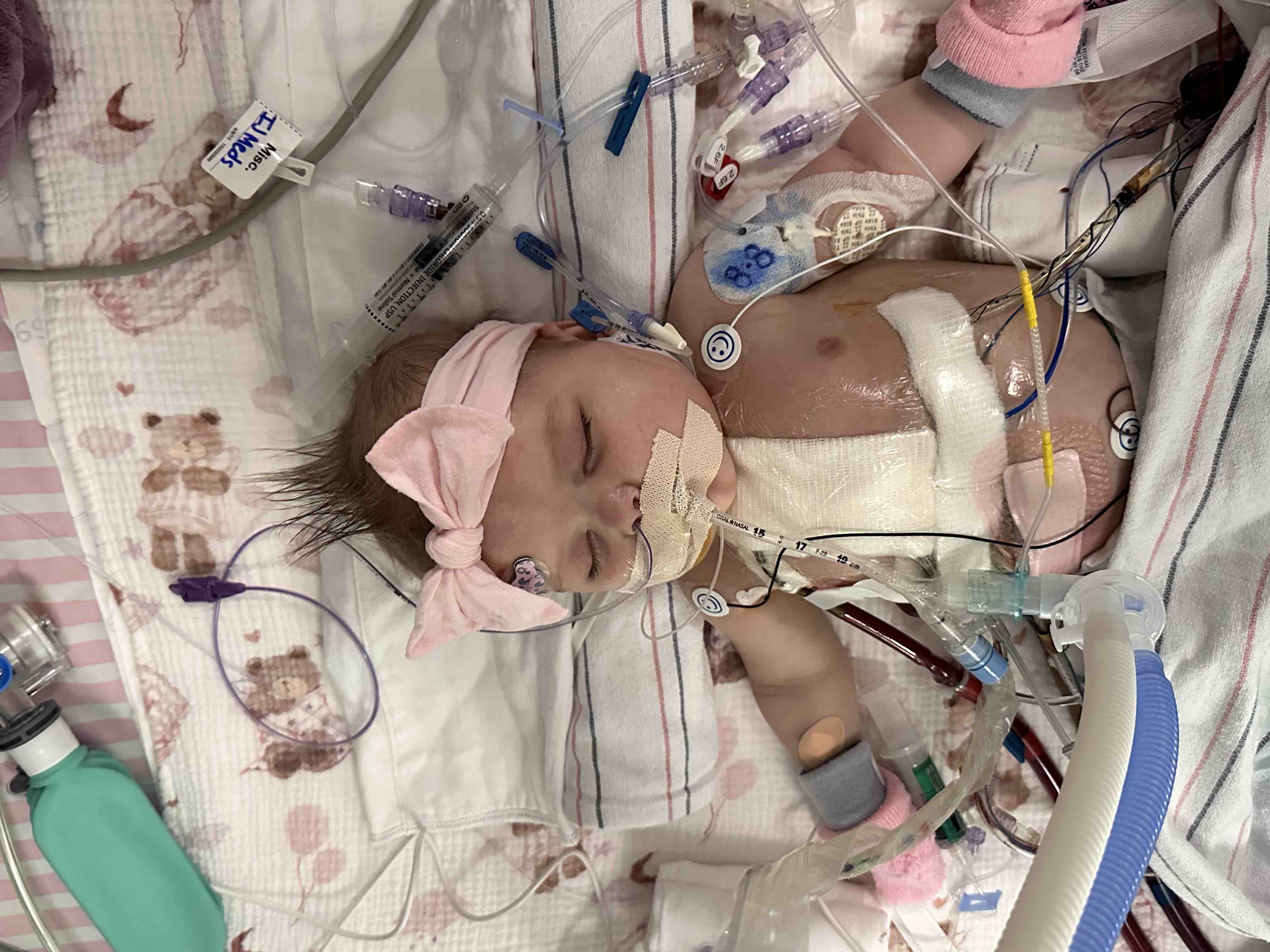 Support Mabel Rose’s Fight for Life campaign photo, 5 of 9