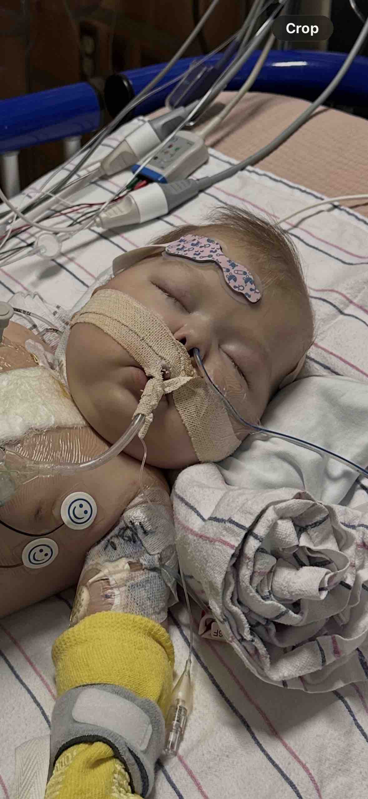 Support Mabel Rose’s Fight for Life campaign photo, 6 of 9