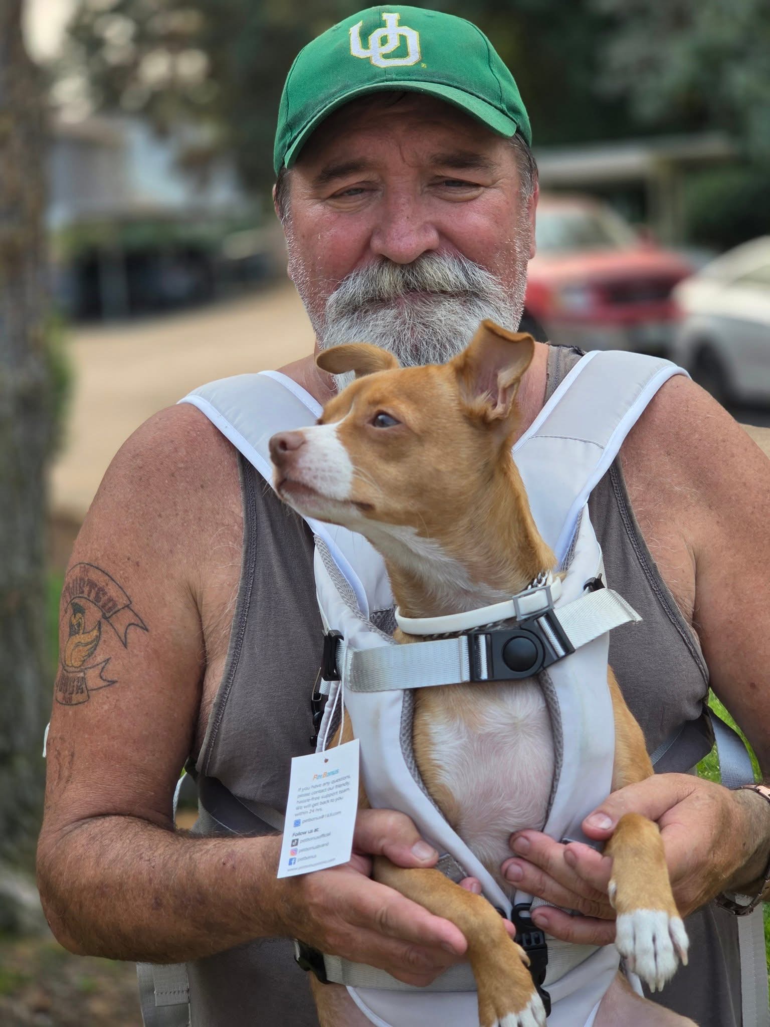 Help Loki Walk Again: Surgery for Pat’s Pup campaign photo, 4 of 8