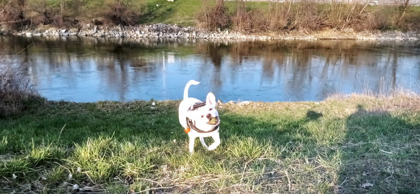 Loki braucht eine Operation campaign photo, 5 of 8