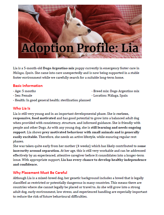 Foto de la campaña Help Lia Grow Up Safe: Support for a Rescue Puppy, 5 de 8