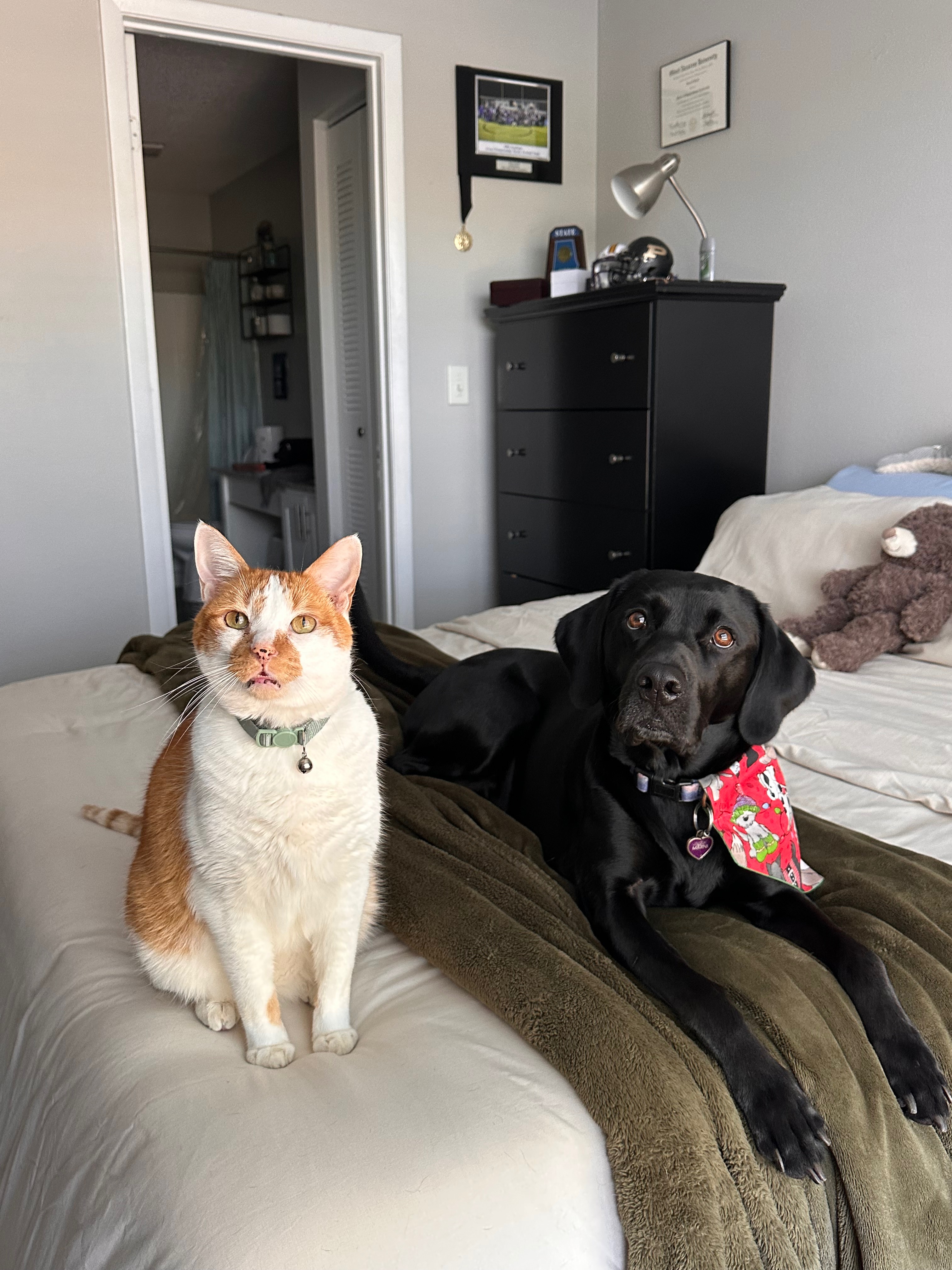 Help Bug Get Lifesaving Care campaign photo, 4 of 7