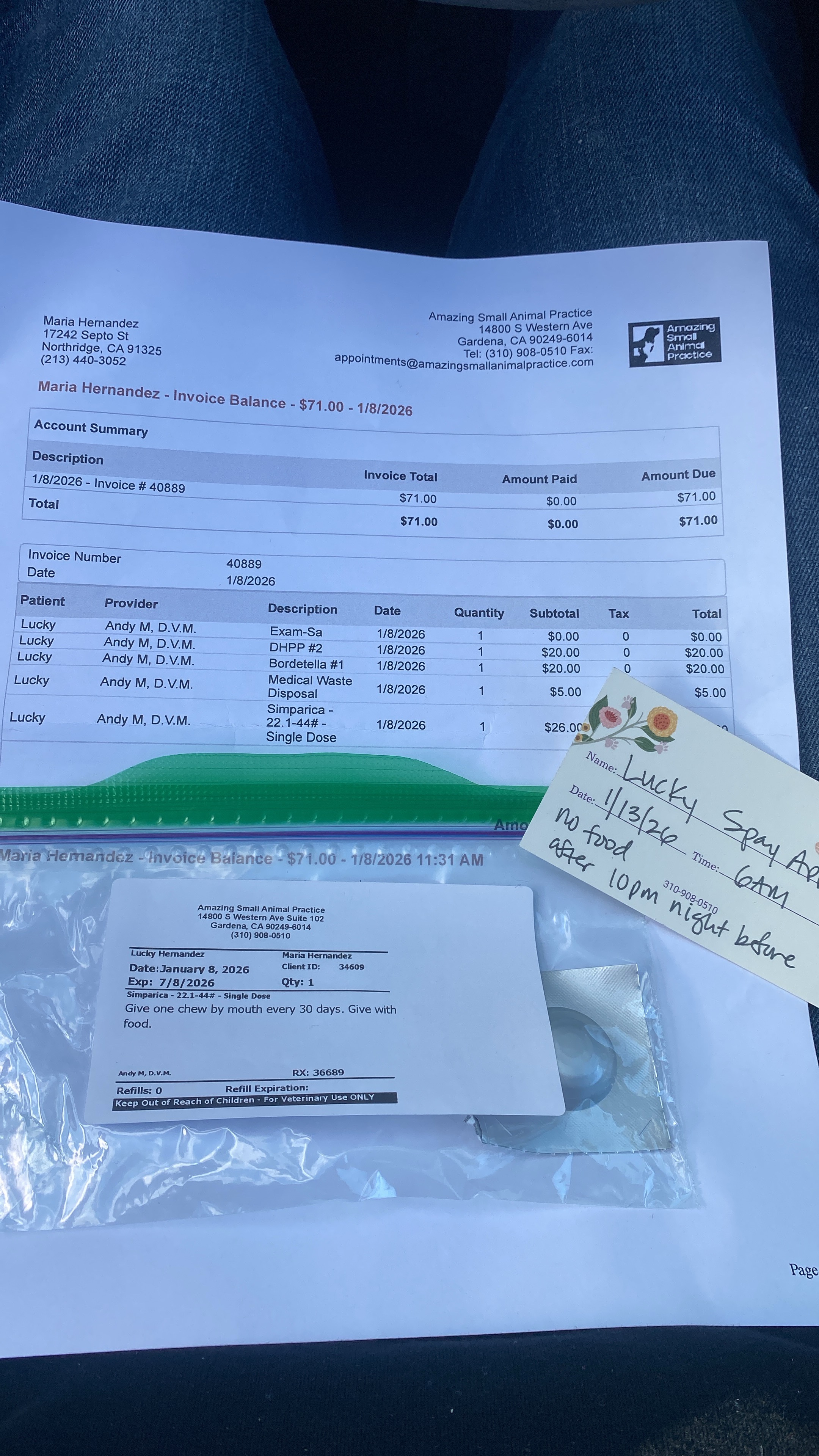 Need help for her bloodwork. Antibiotics shot and getting am campaign photo, 5 of 6