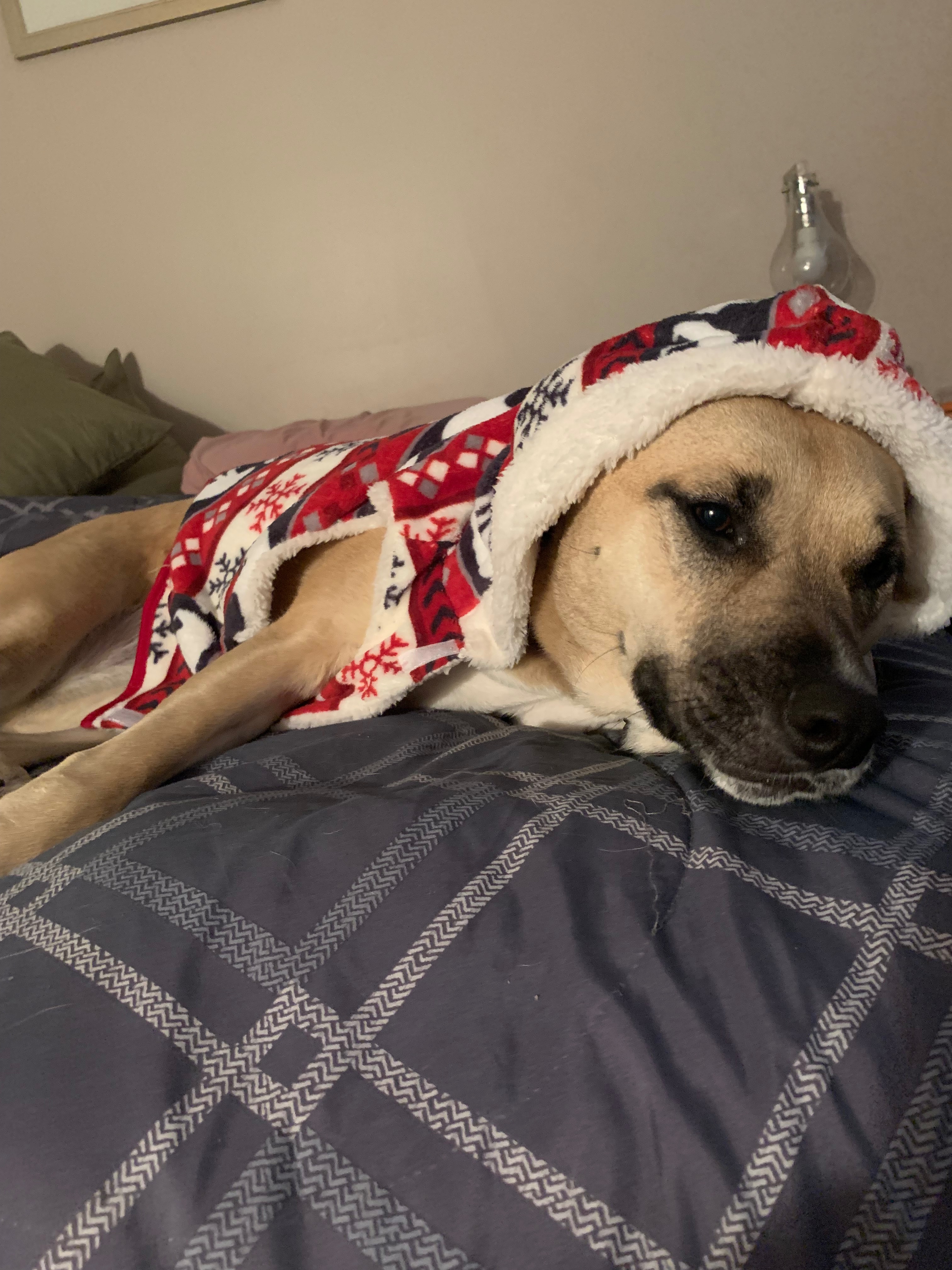 Help Kacey Get Surgery campaign photo, 7 of 8