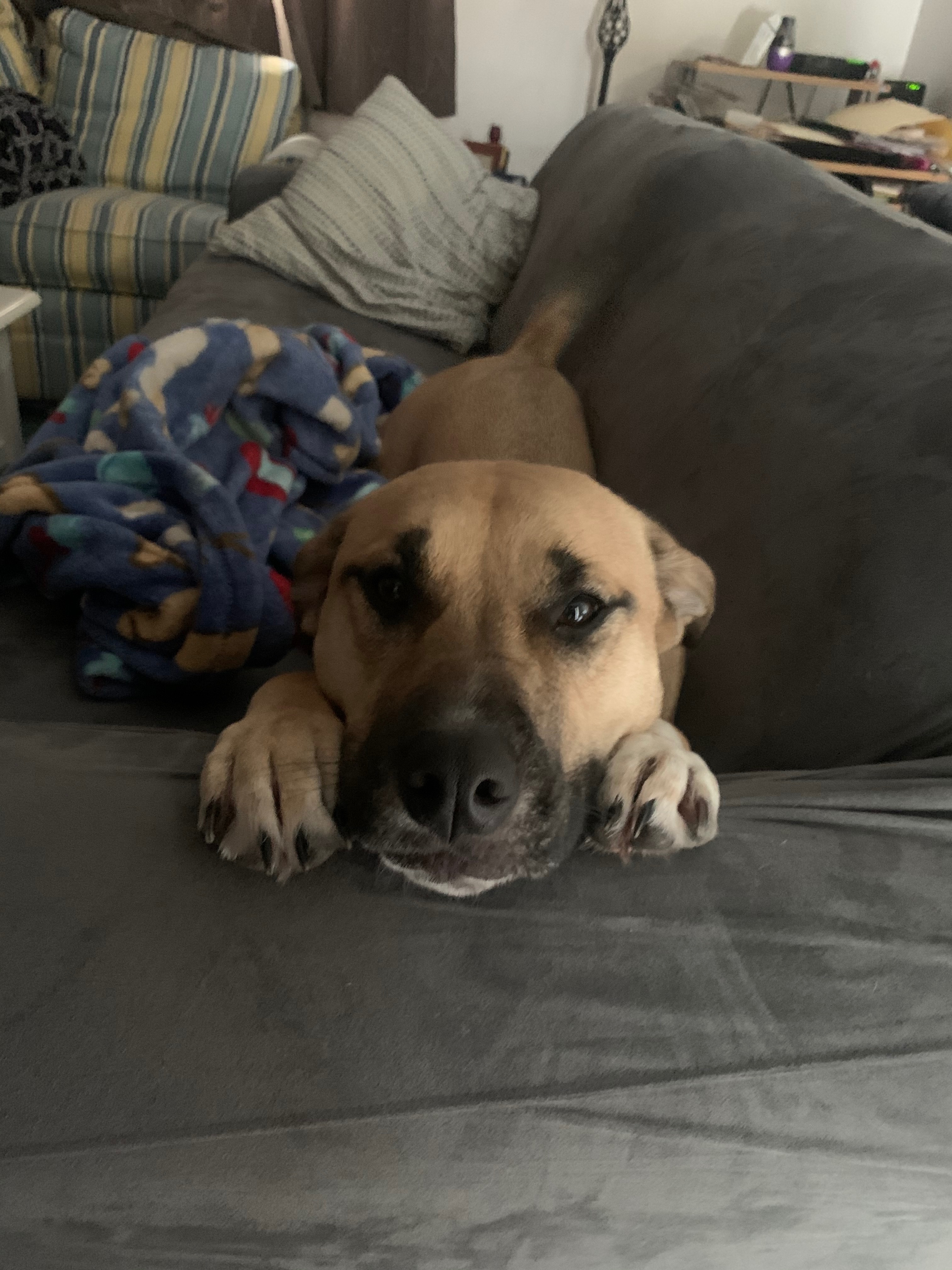 Help Kacey Get Surgery campaign photo, 5 of 8