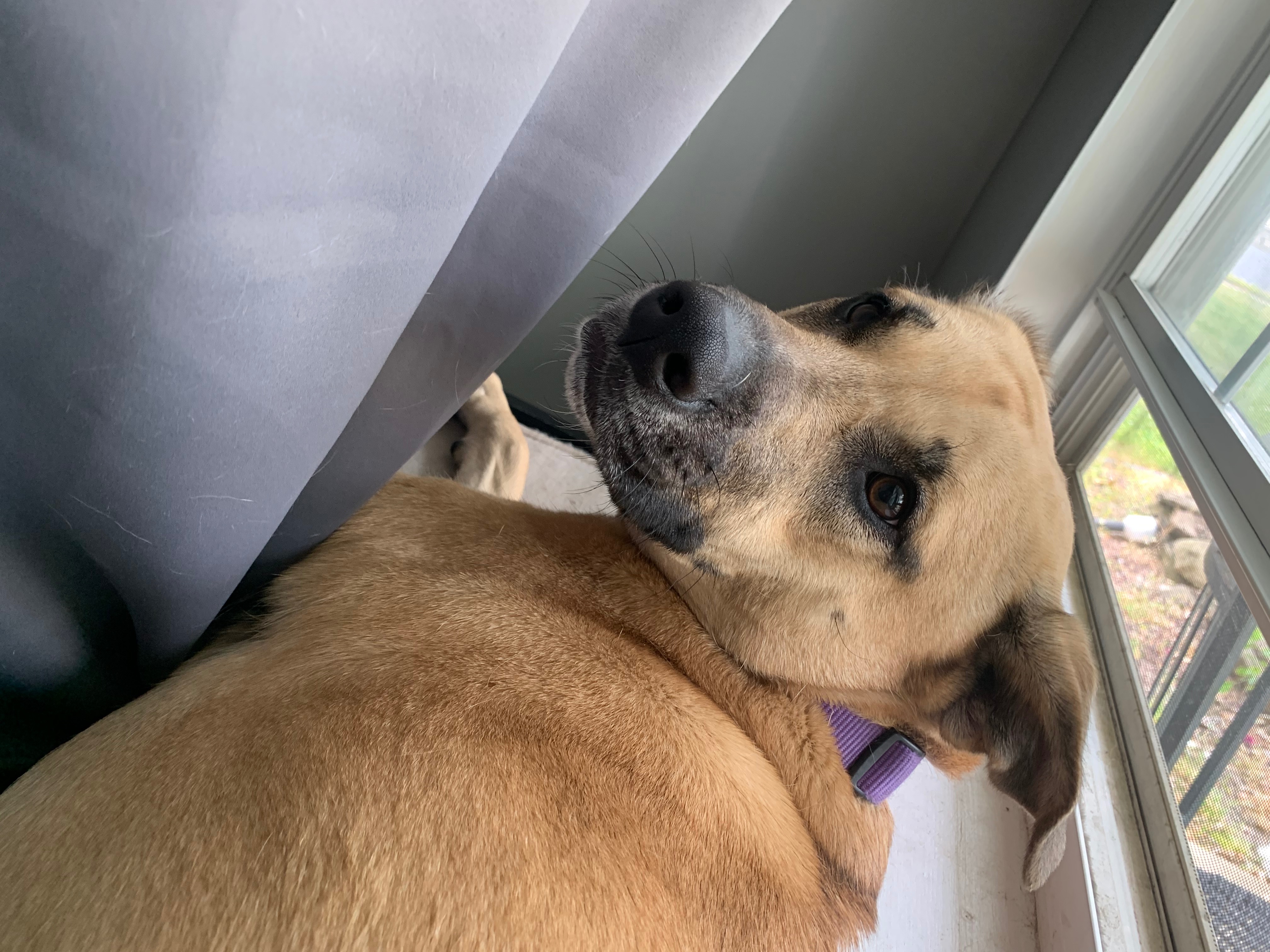 Help Kacey Get Surgery campaign photo, 6 of 8