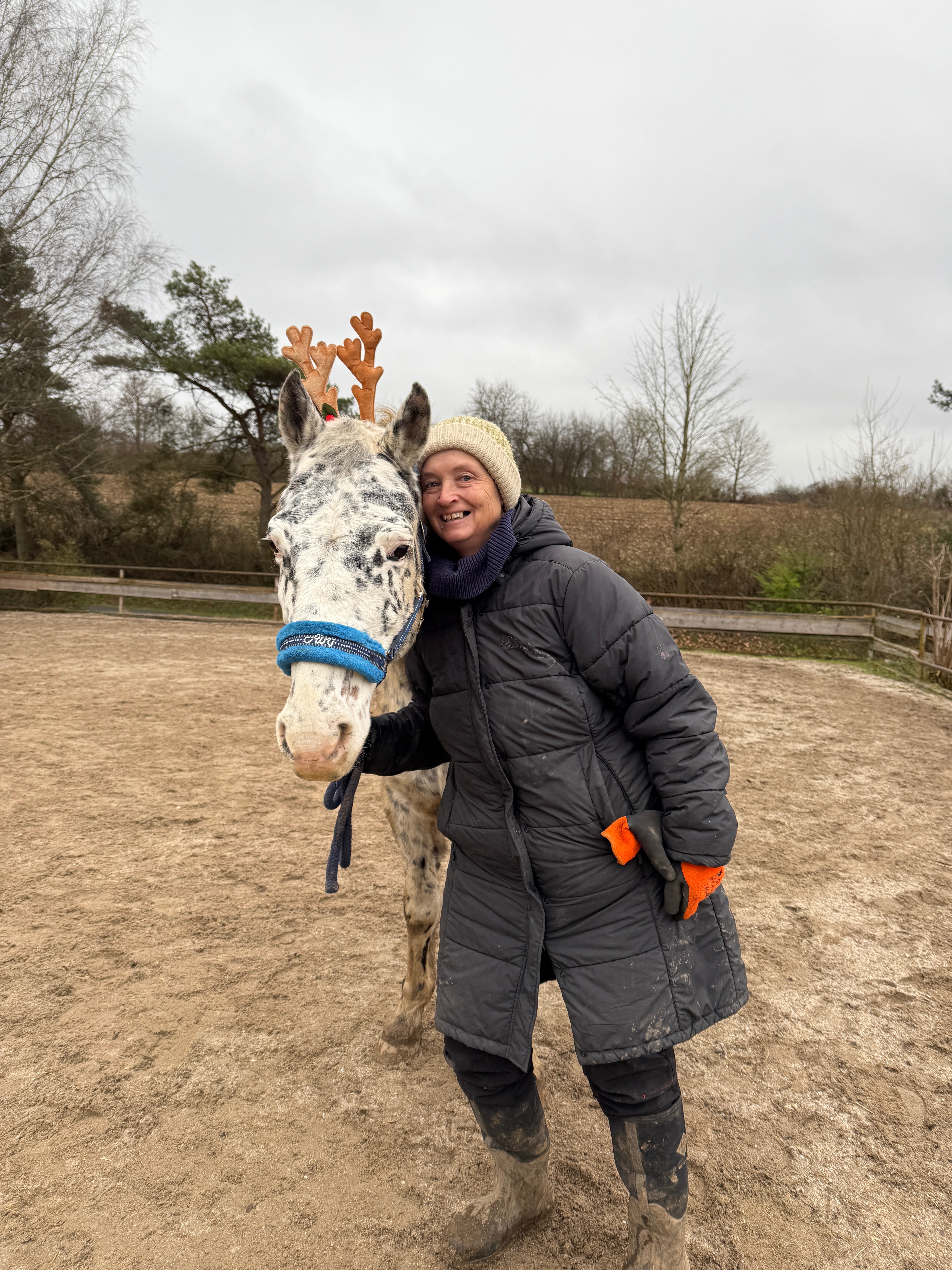 Ein neues Pferd – um verlorene Stabilität zurückzugewinnen campaign photo, 2 of 4