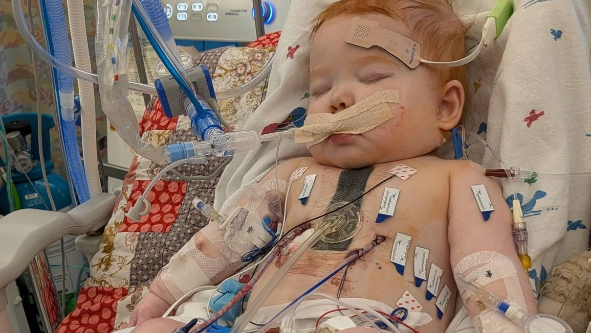 Fundraiser by Paige Walker : Help Lyla Heal After Emergency Surgery