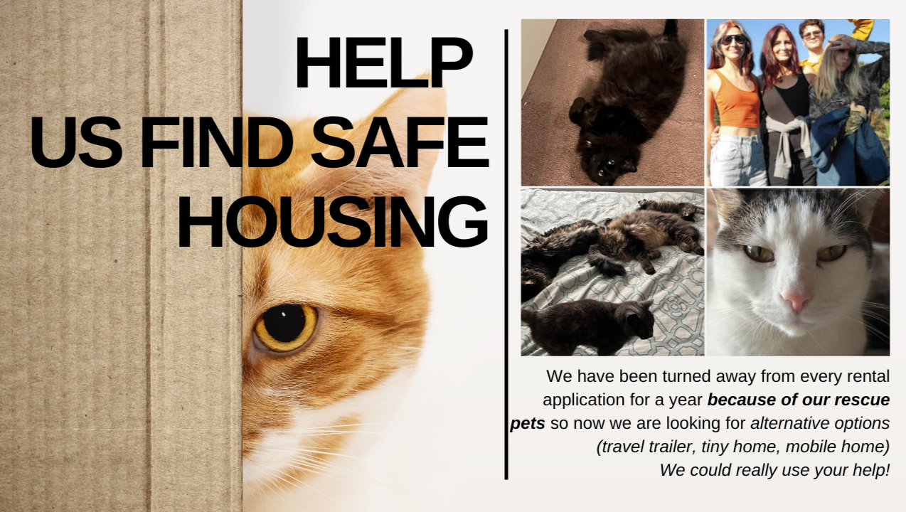 Support Shar’s Mission to Keep Rescue Cats Safe photo