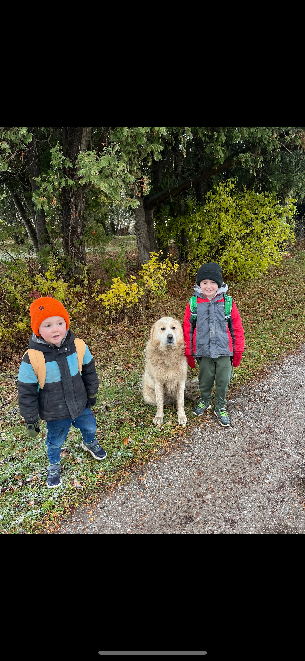 Help Pawweh stay home, happy and pain free campaign photo, 4 of 7