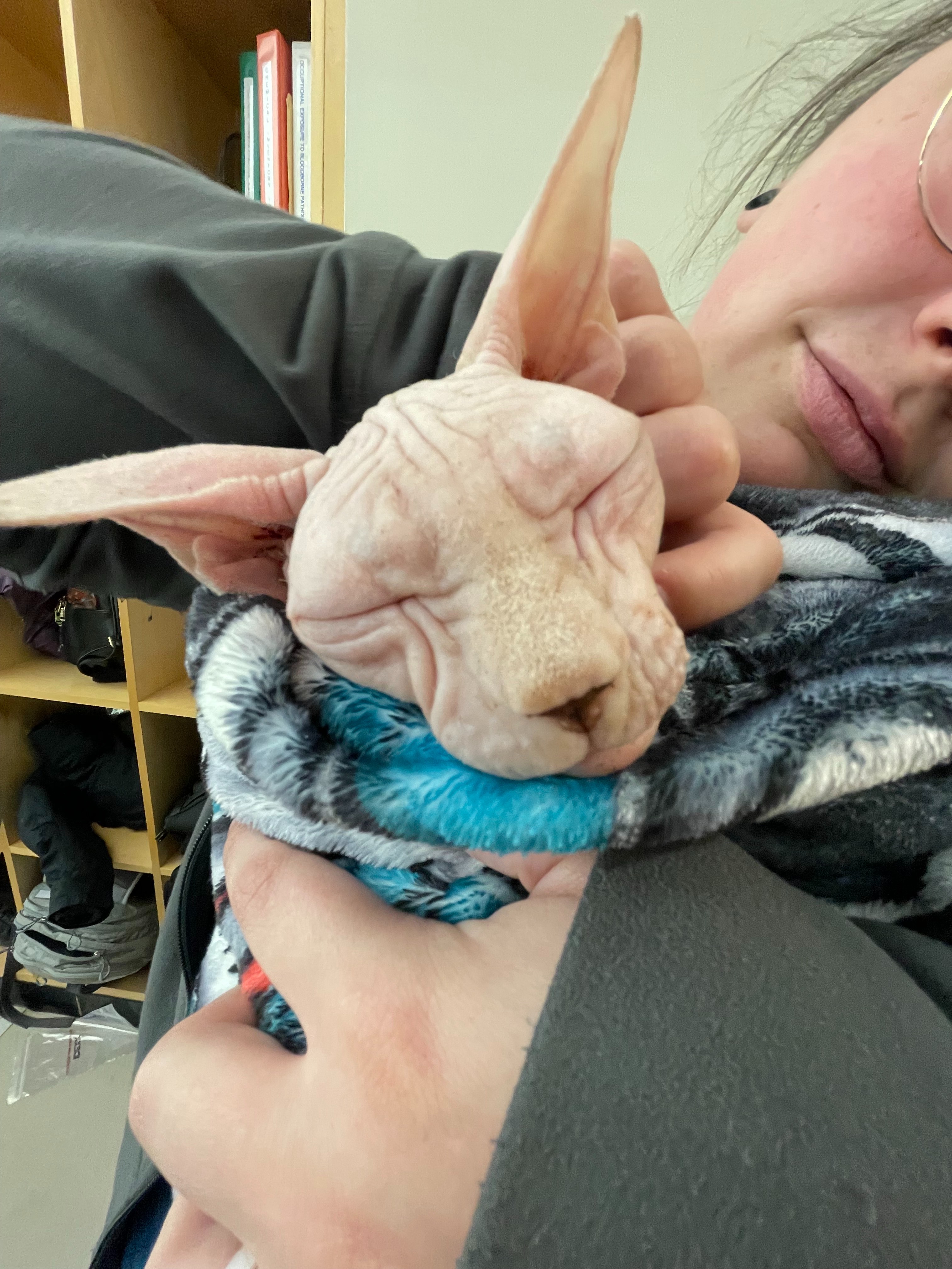 Help Ghoul (“Murmur”) Get the Chance He Deserves campaign photo, 5 of 8